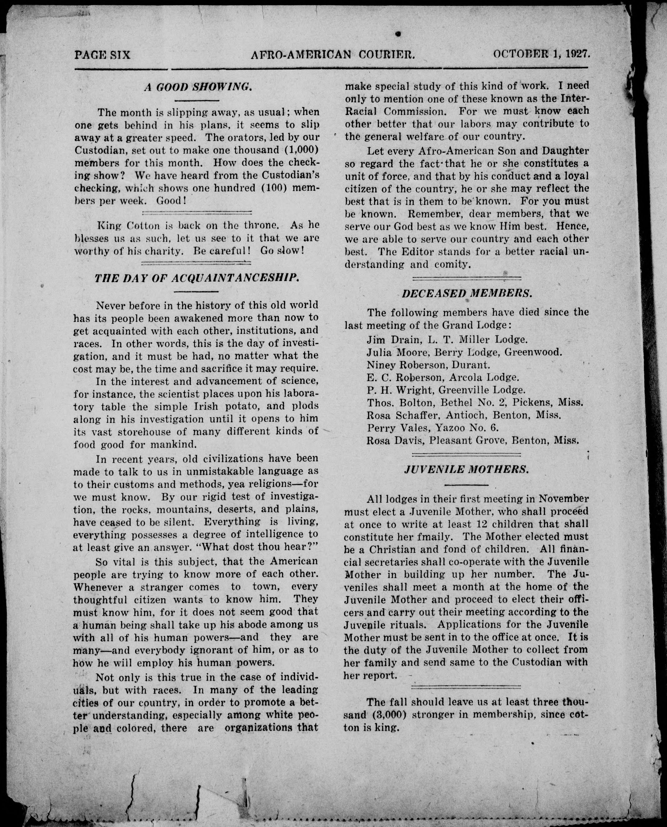 Page 6