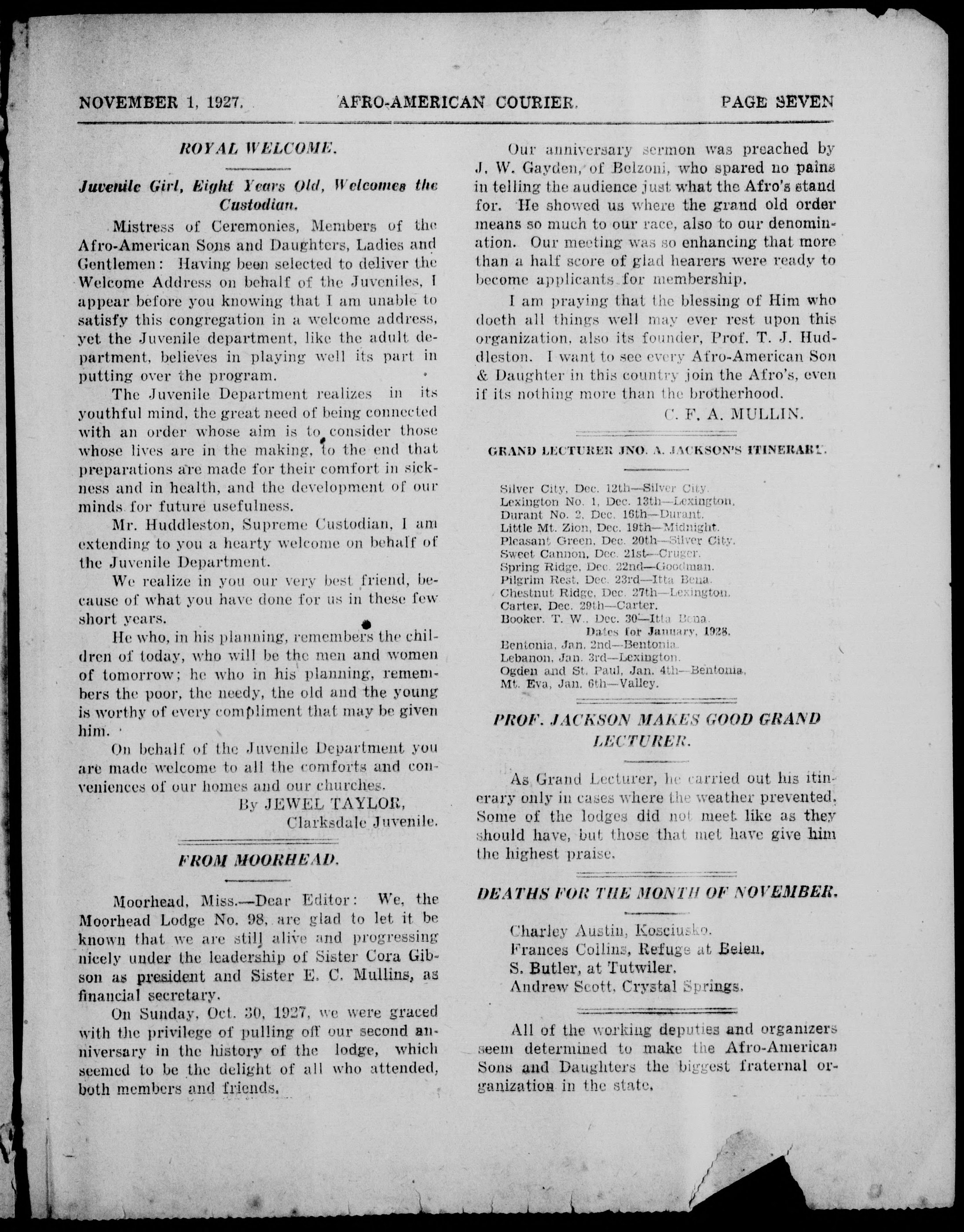 Page 7