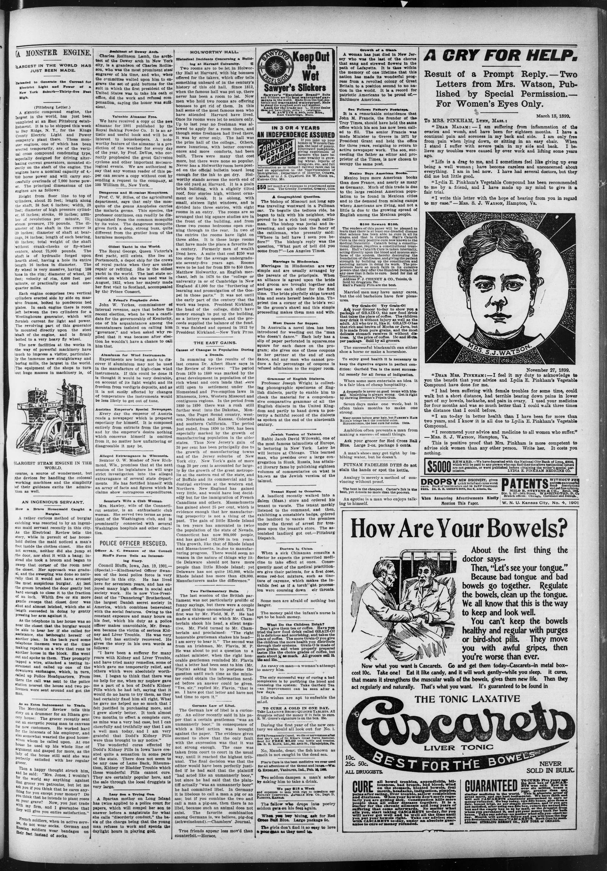 Page 3
