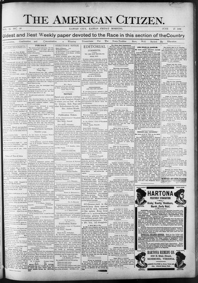 The American Citizen, Jun 27, 1902