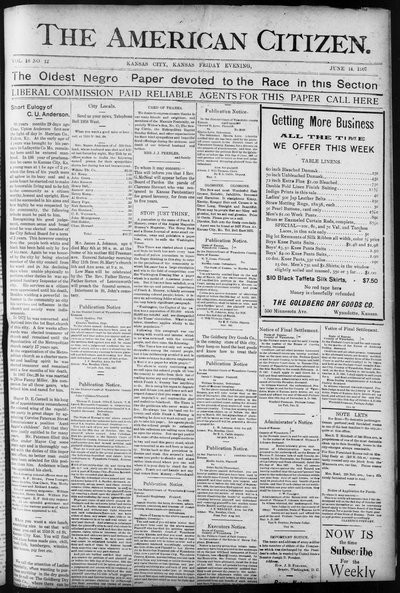 The American Citizen, Jun 14, 1907