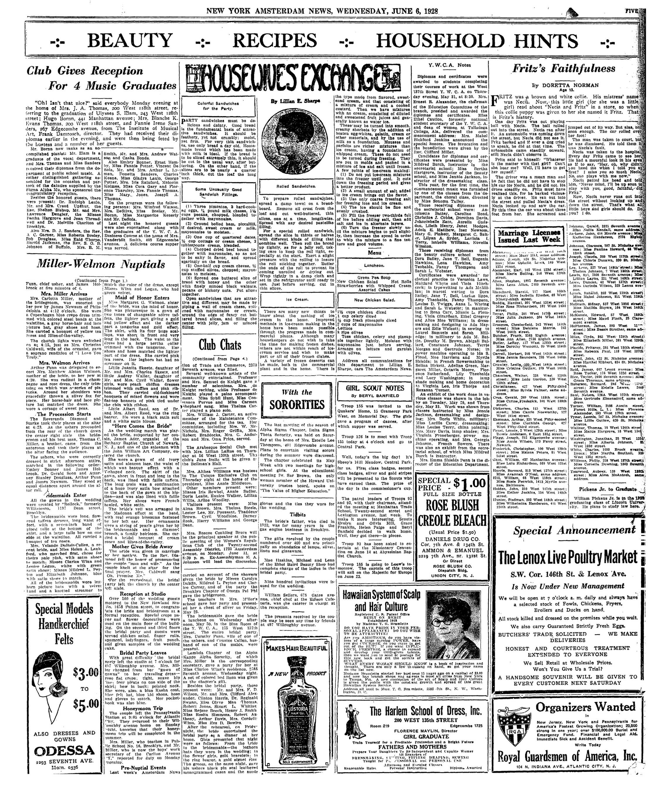Page 5