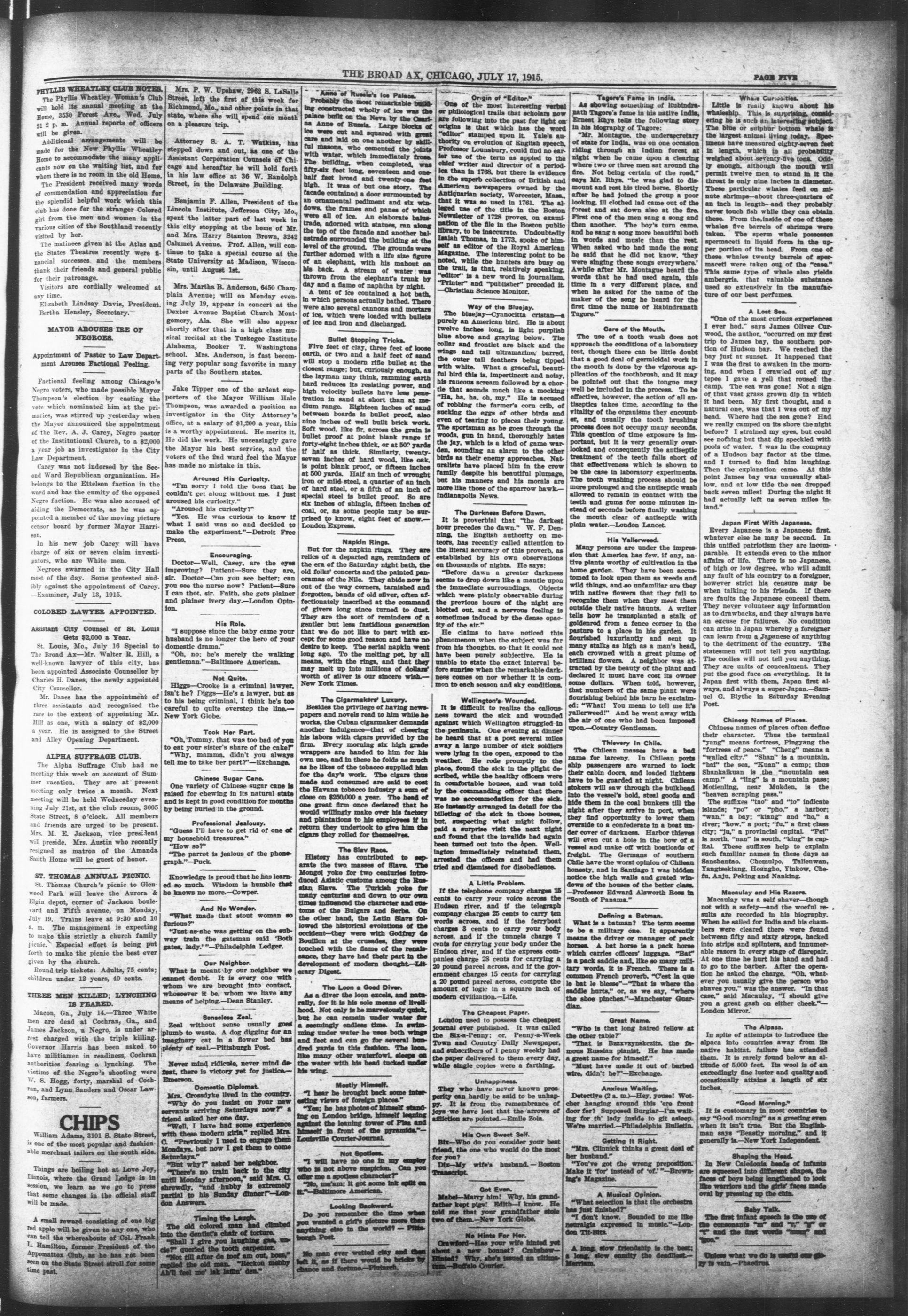 Page 5
