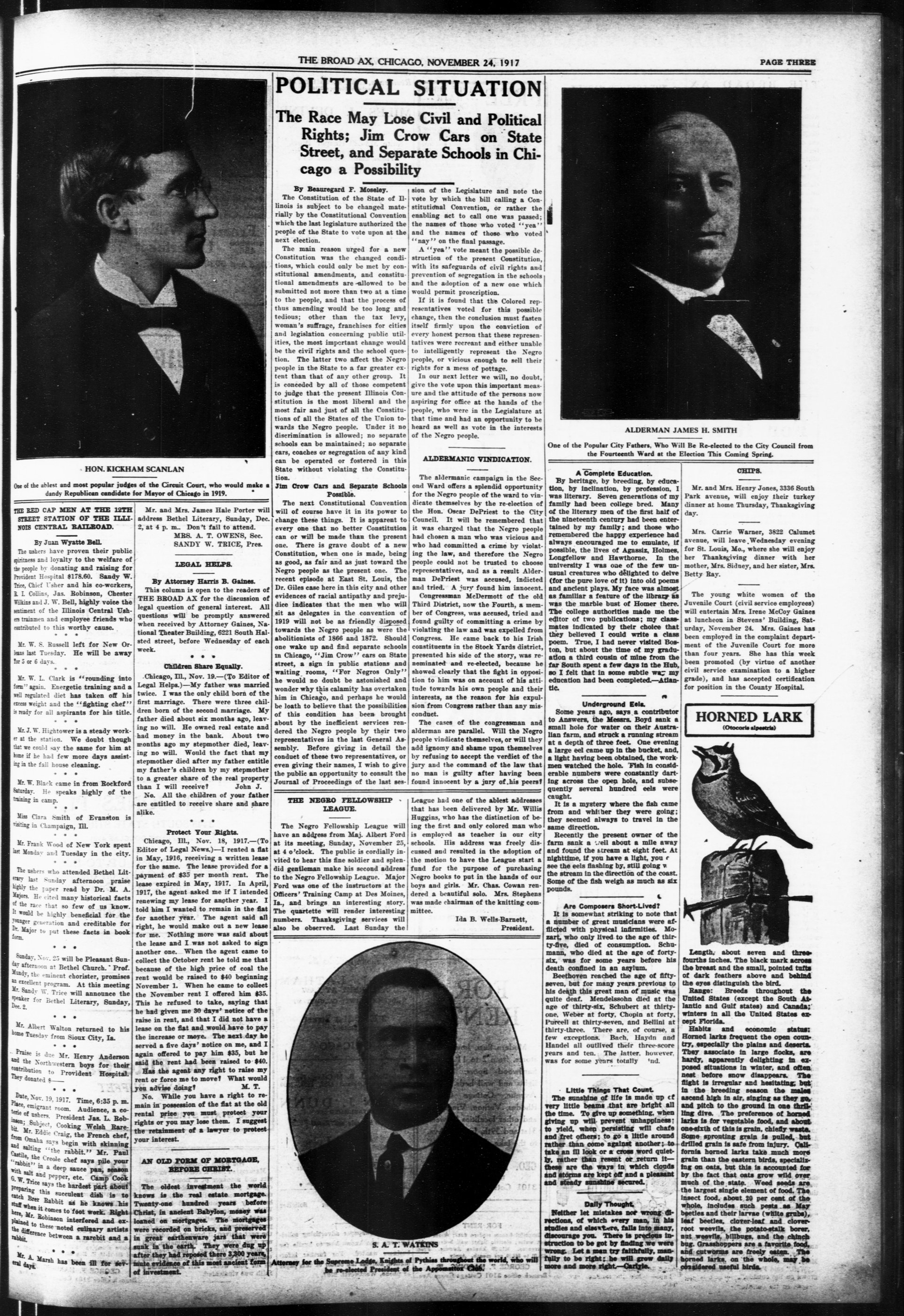 Page 3
