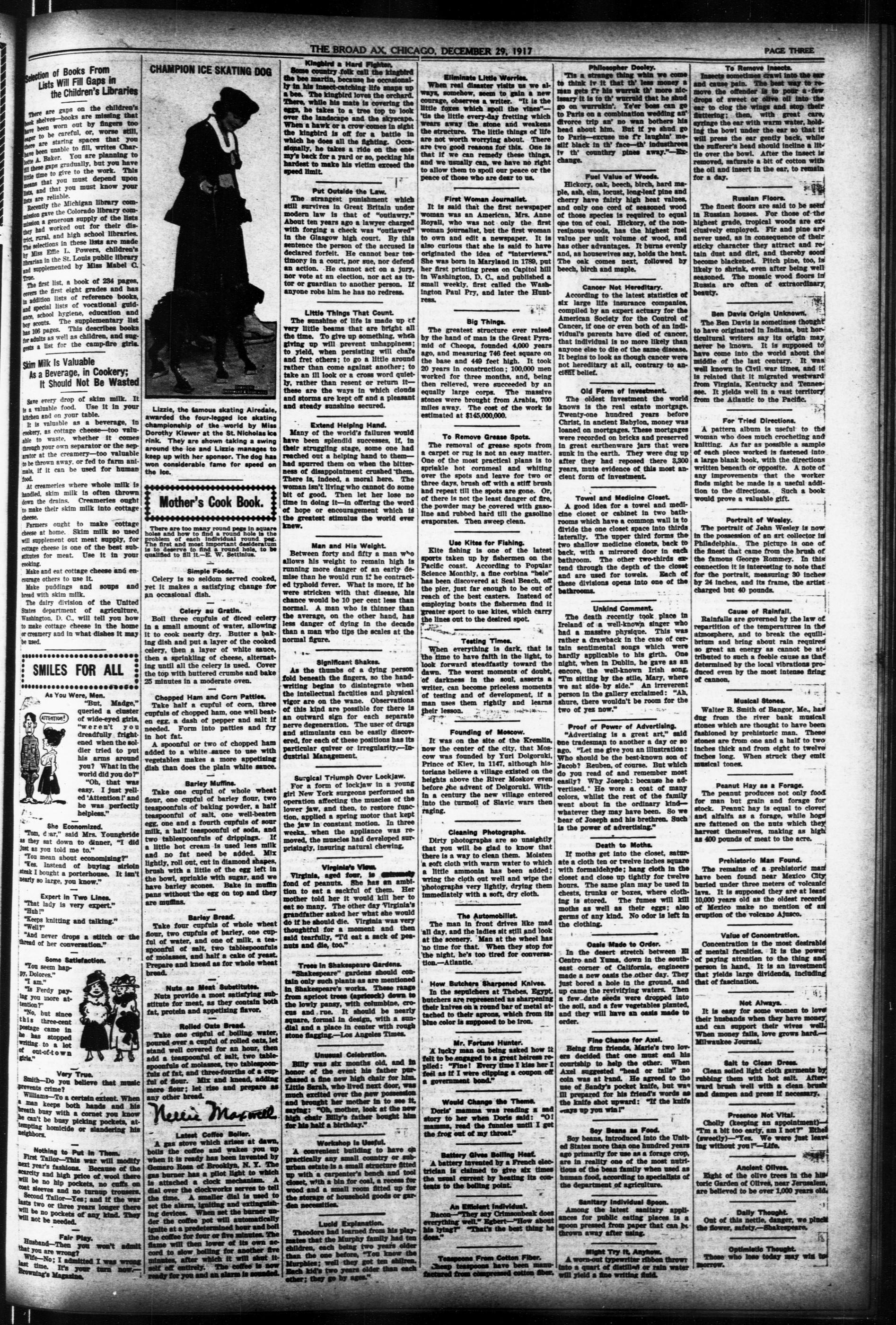Page 3
