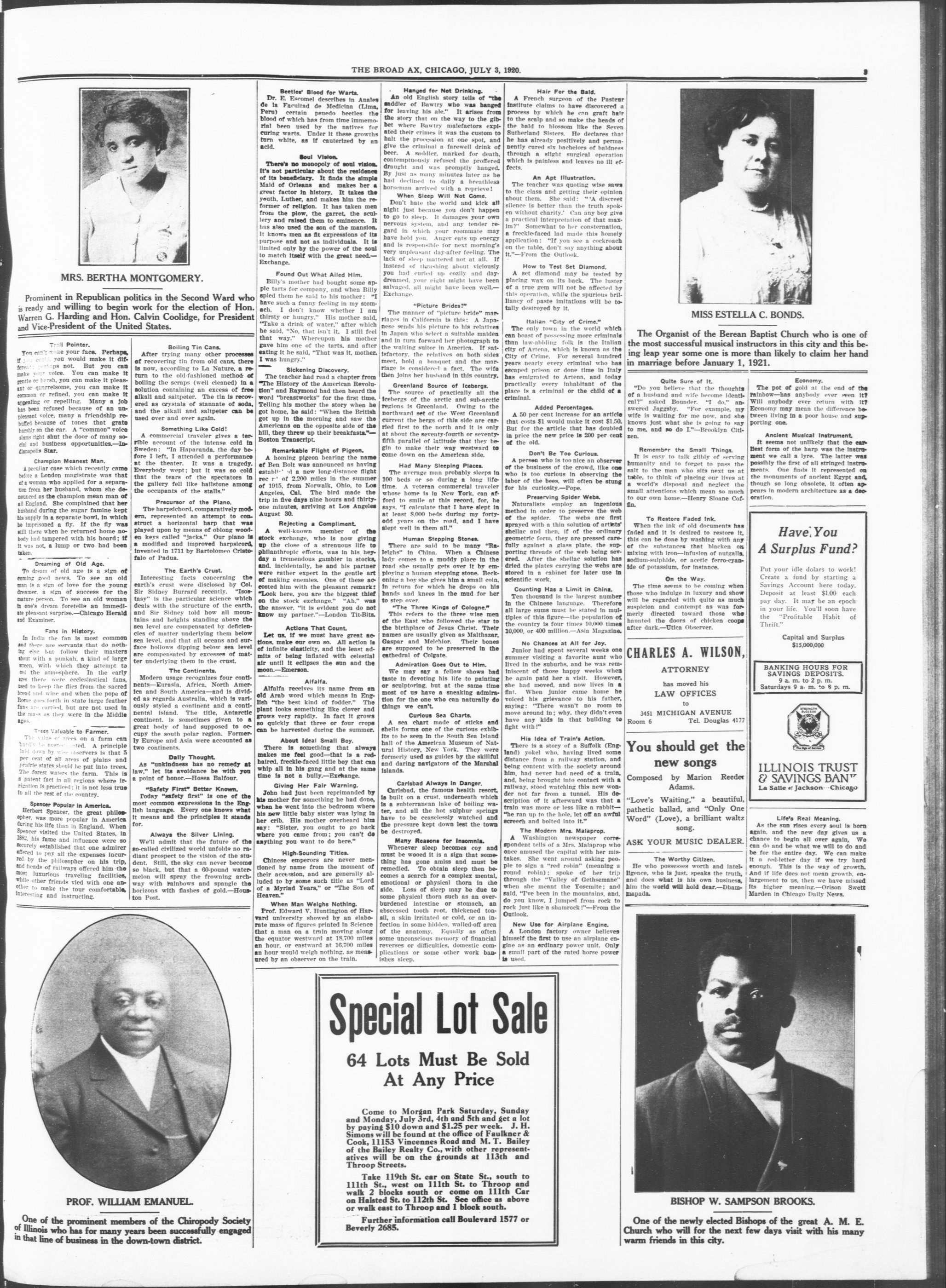 Page 3
