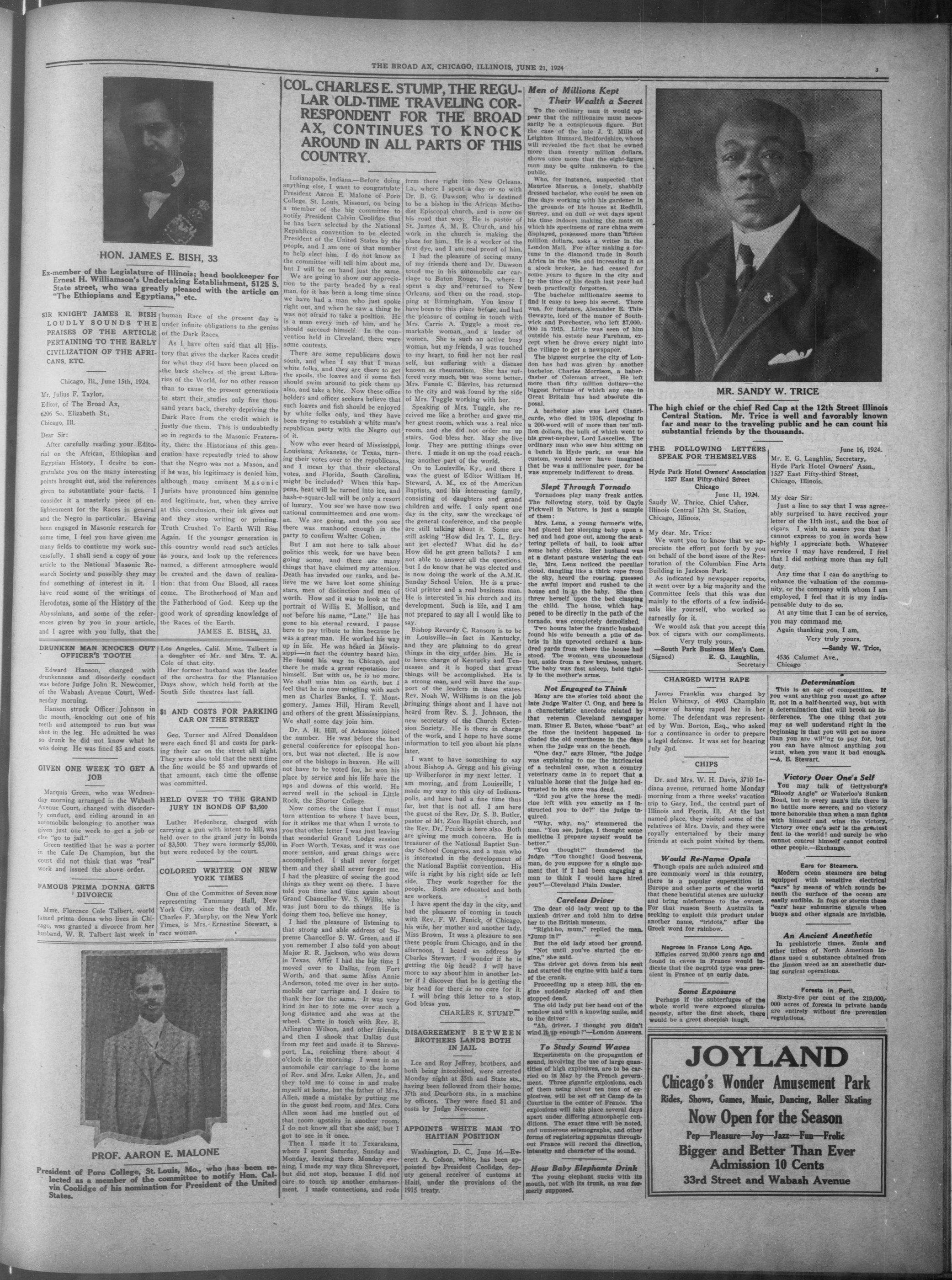 Page 3
