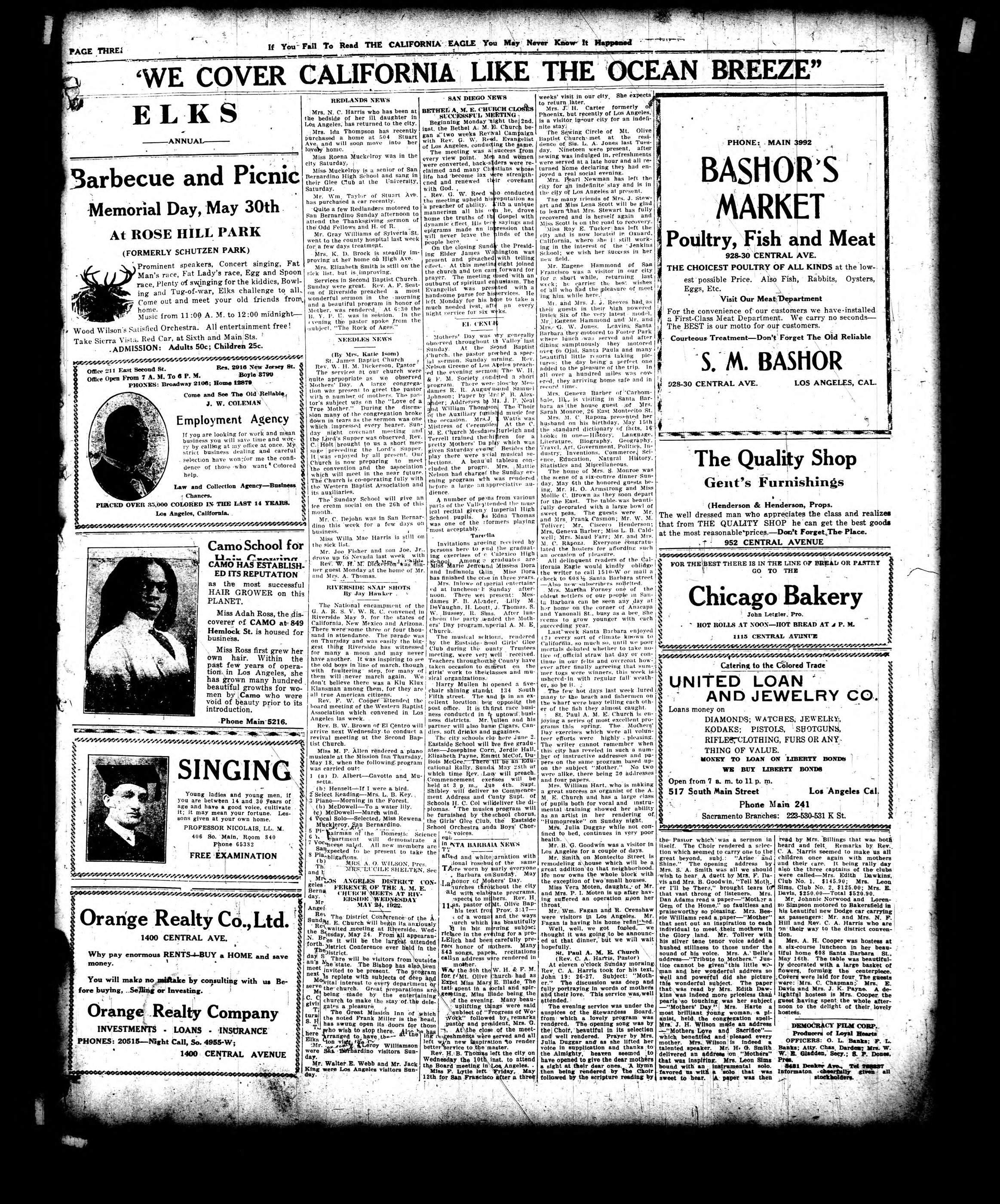 Page 3