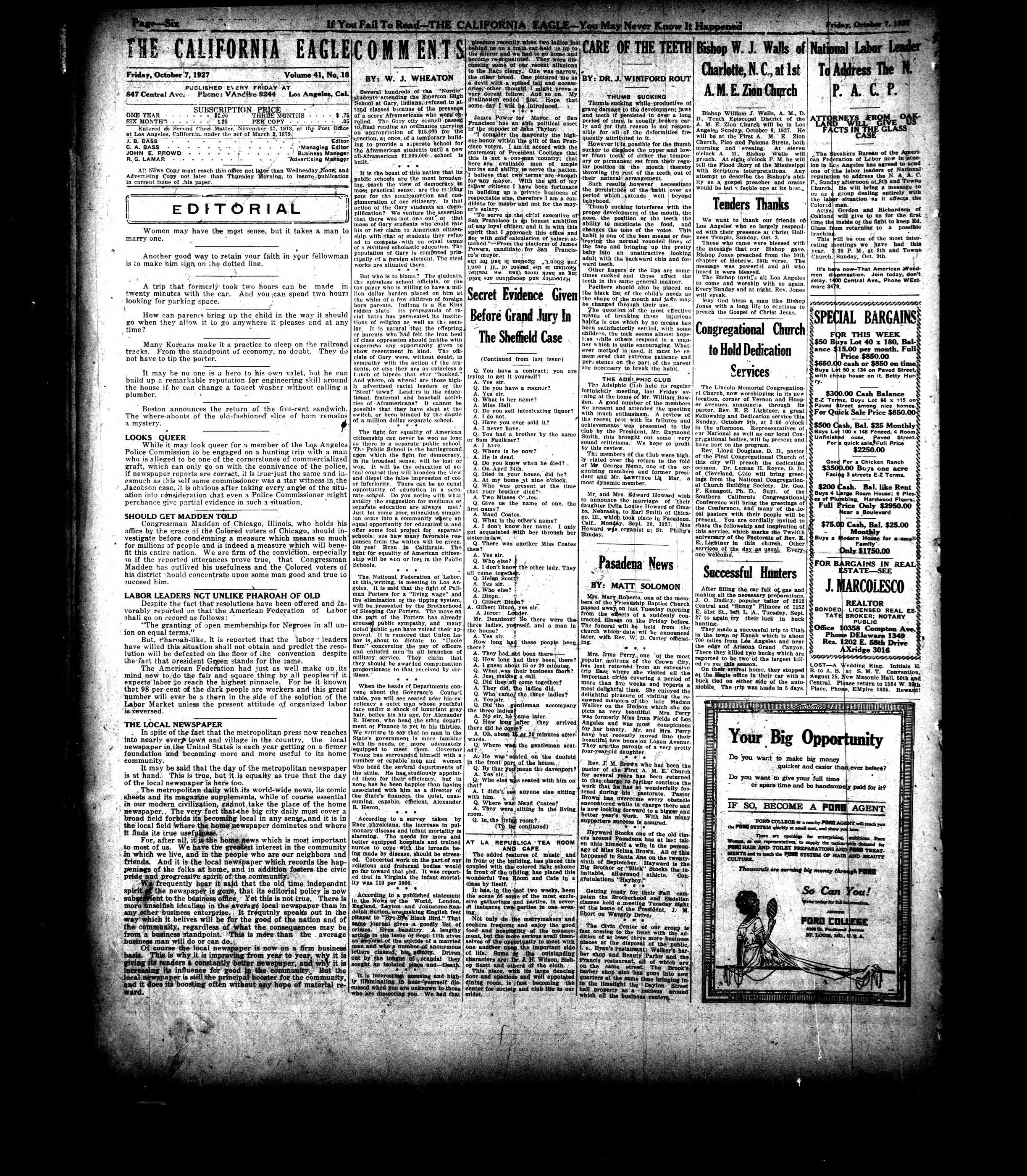 Page 7