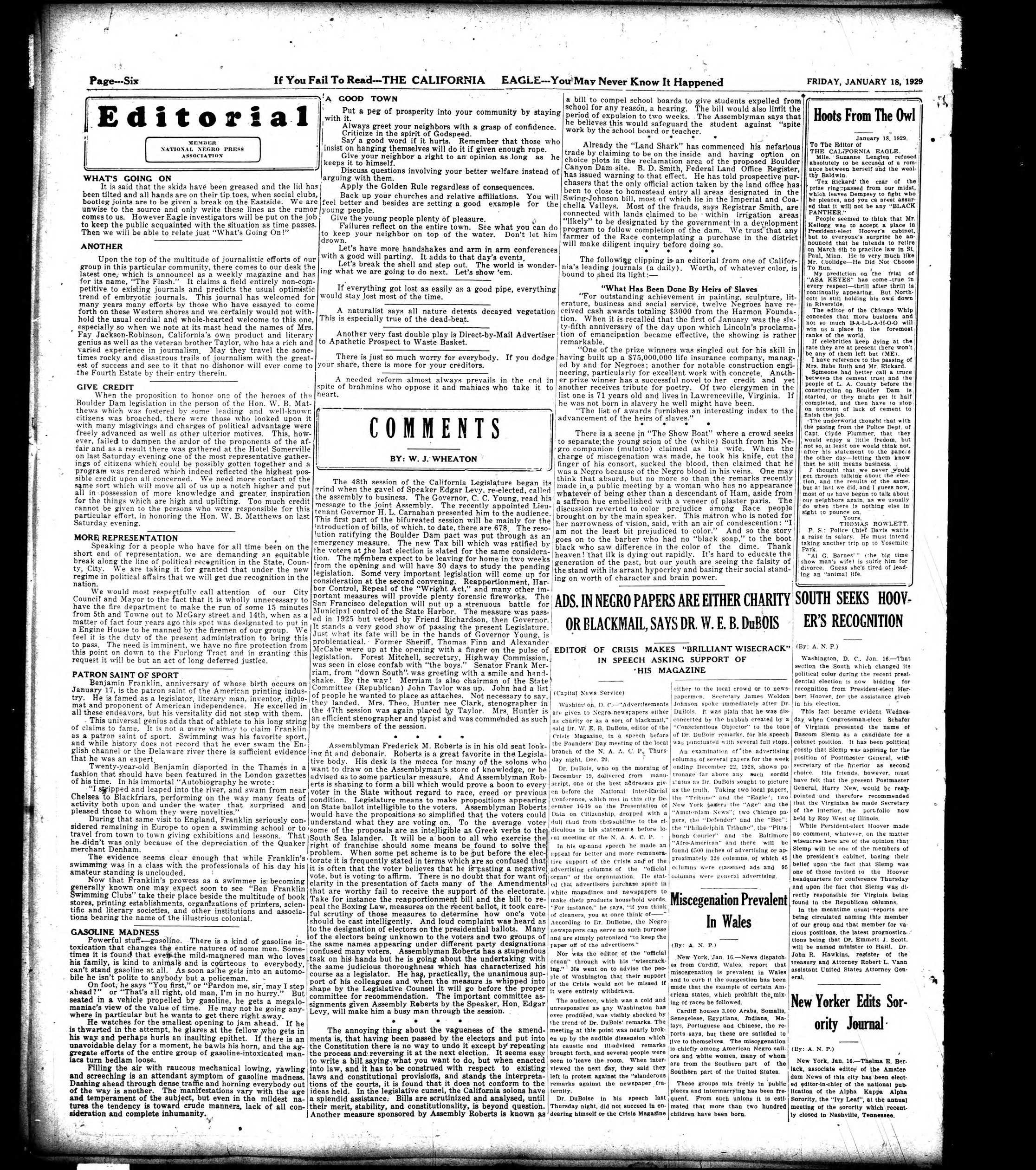Page 7