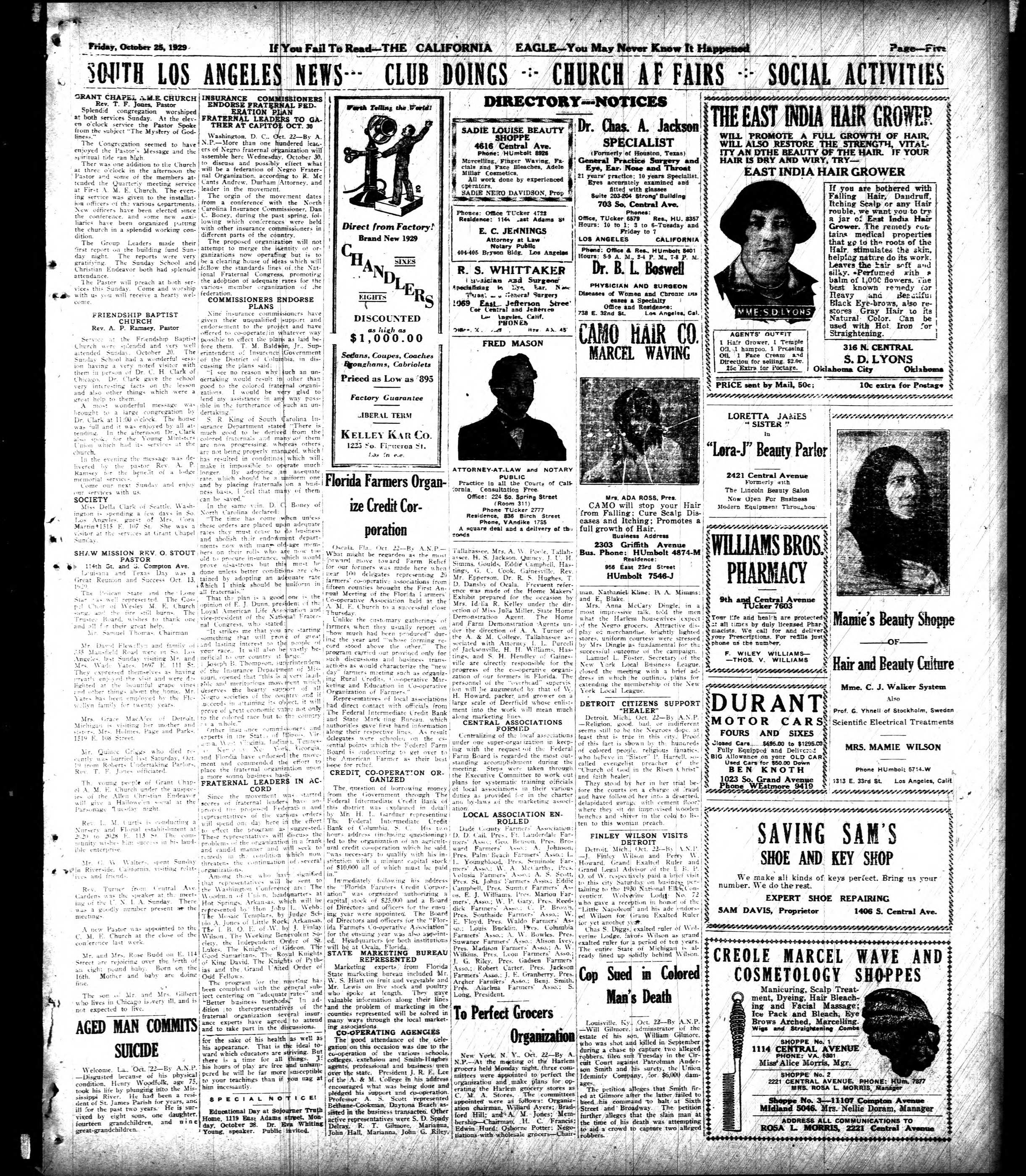 Page 6