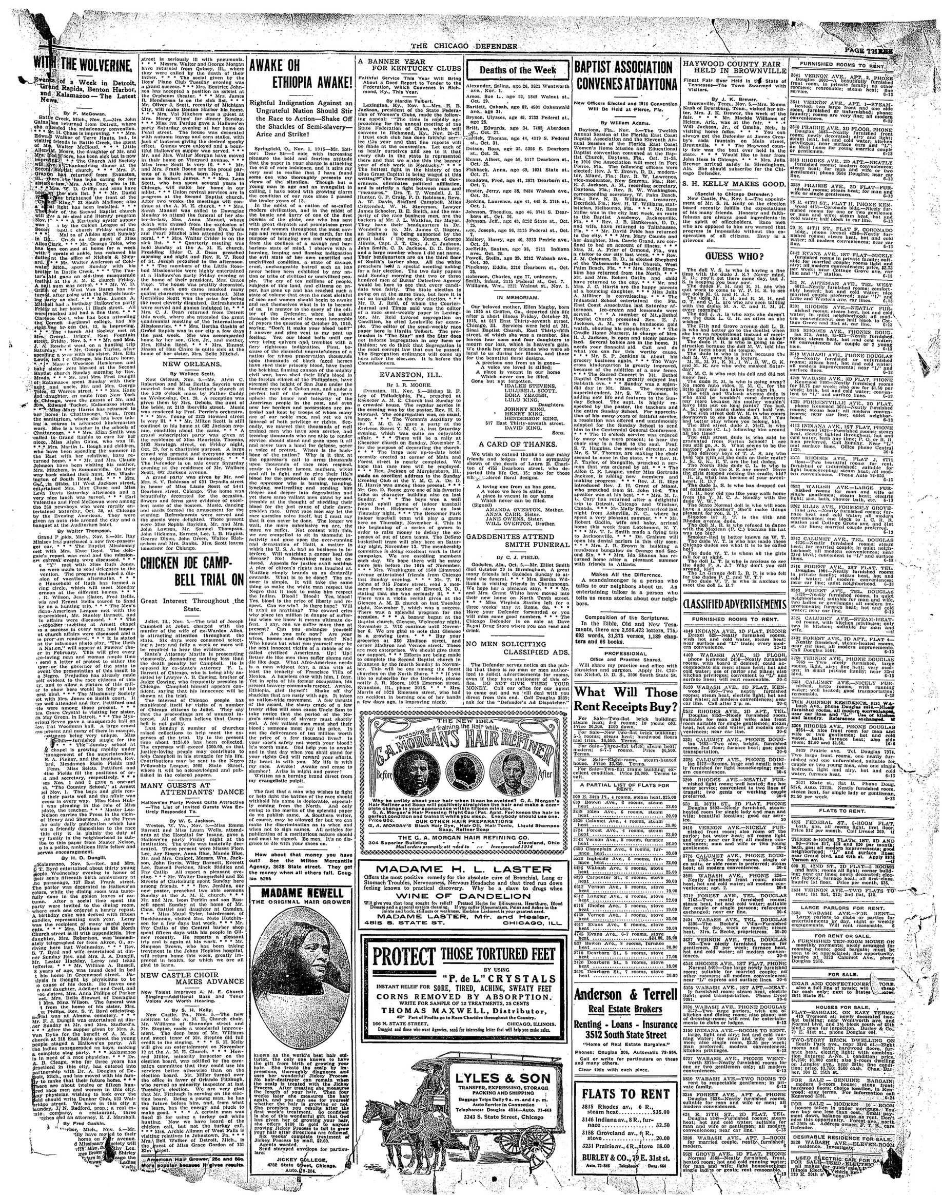 Page 3