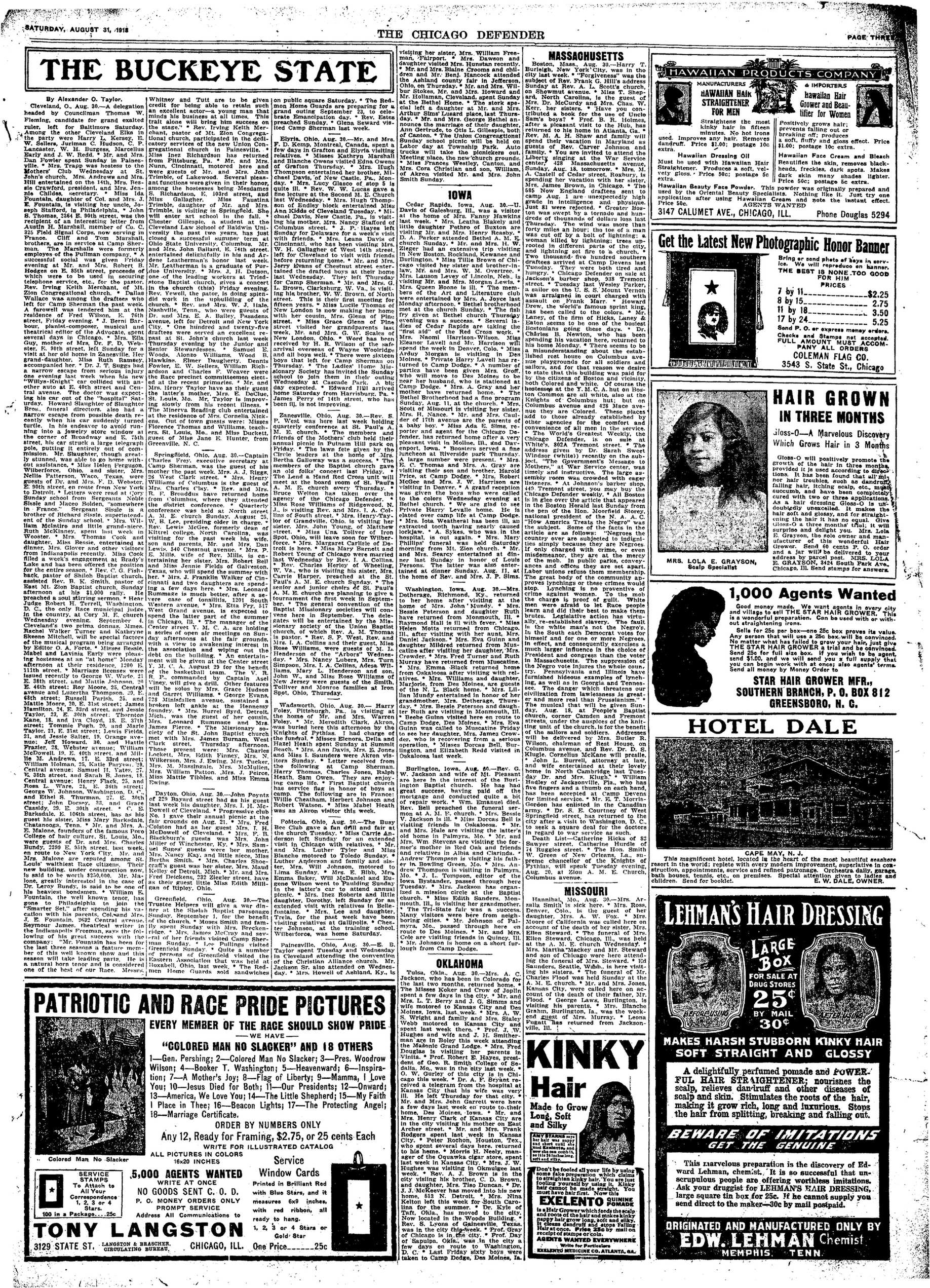 Page 3