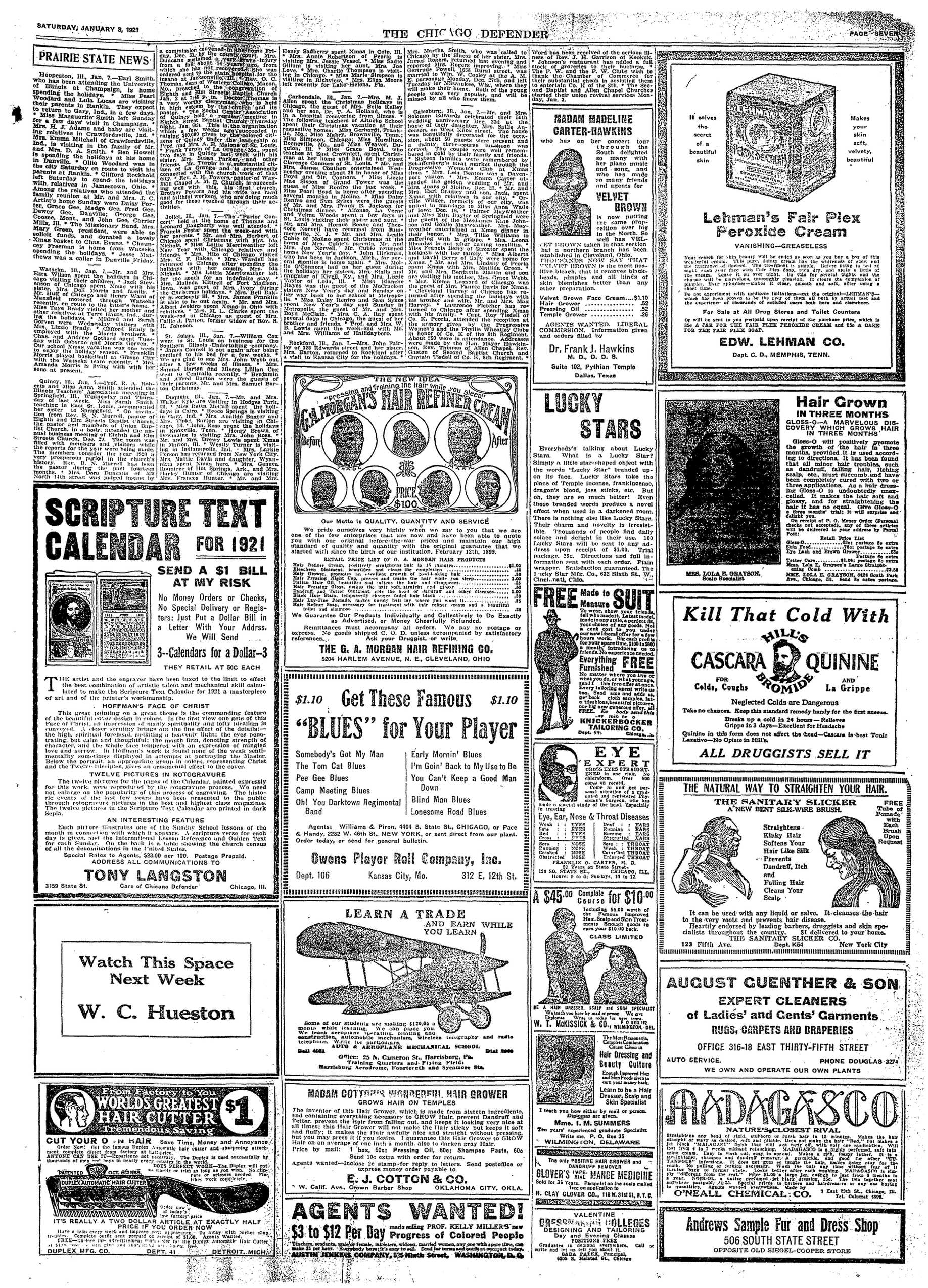 Page 7