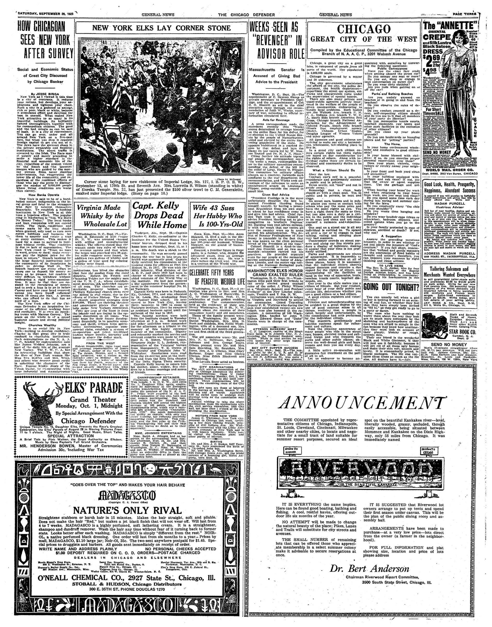 Page 3
