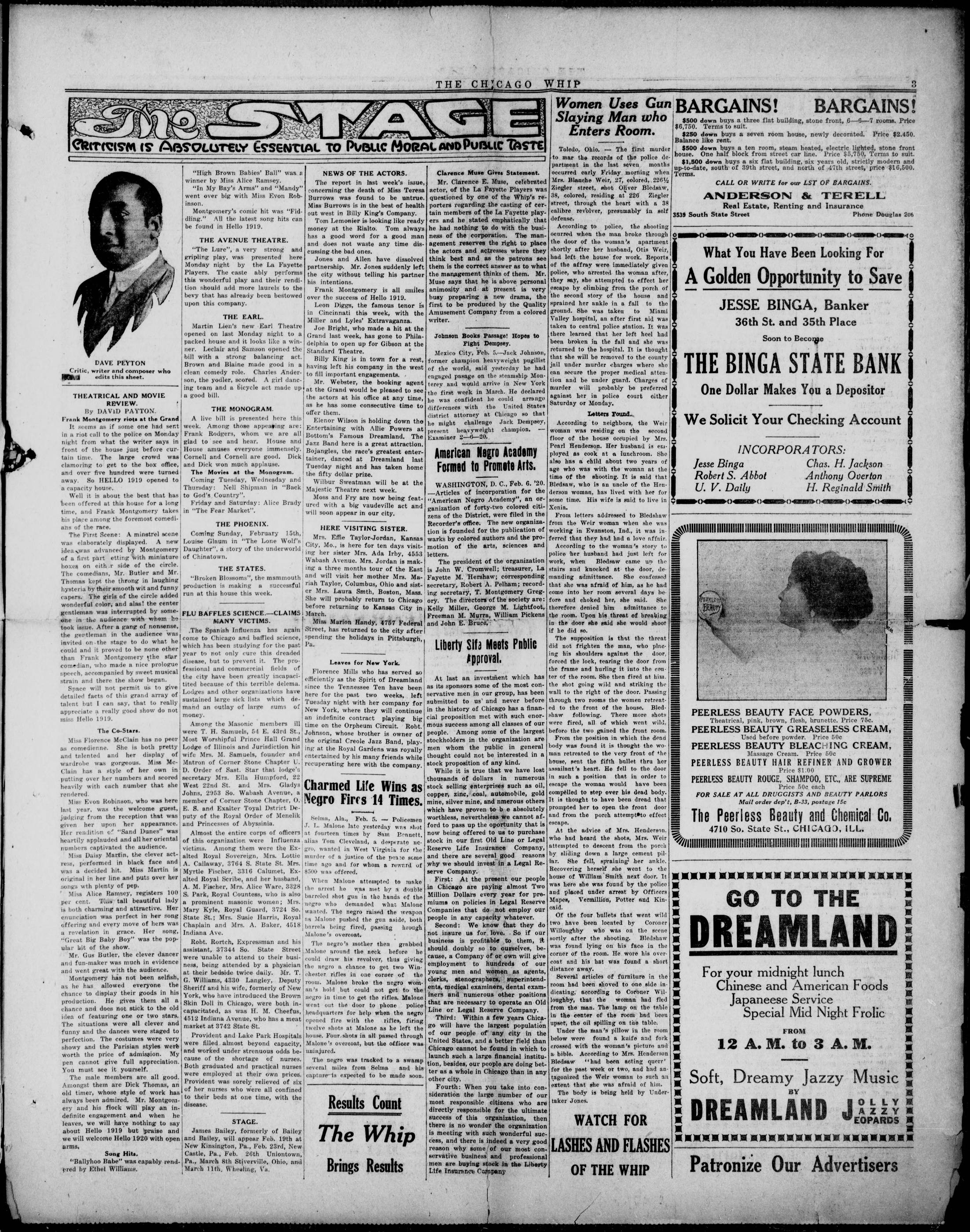 Page 3