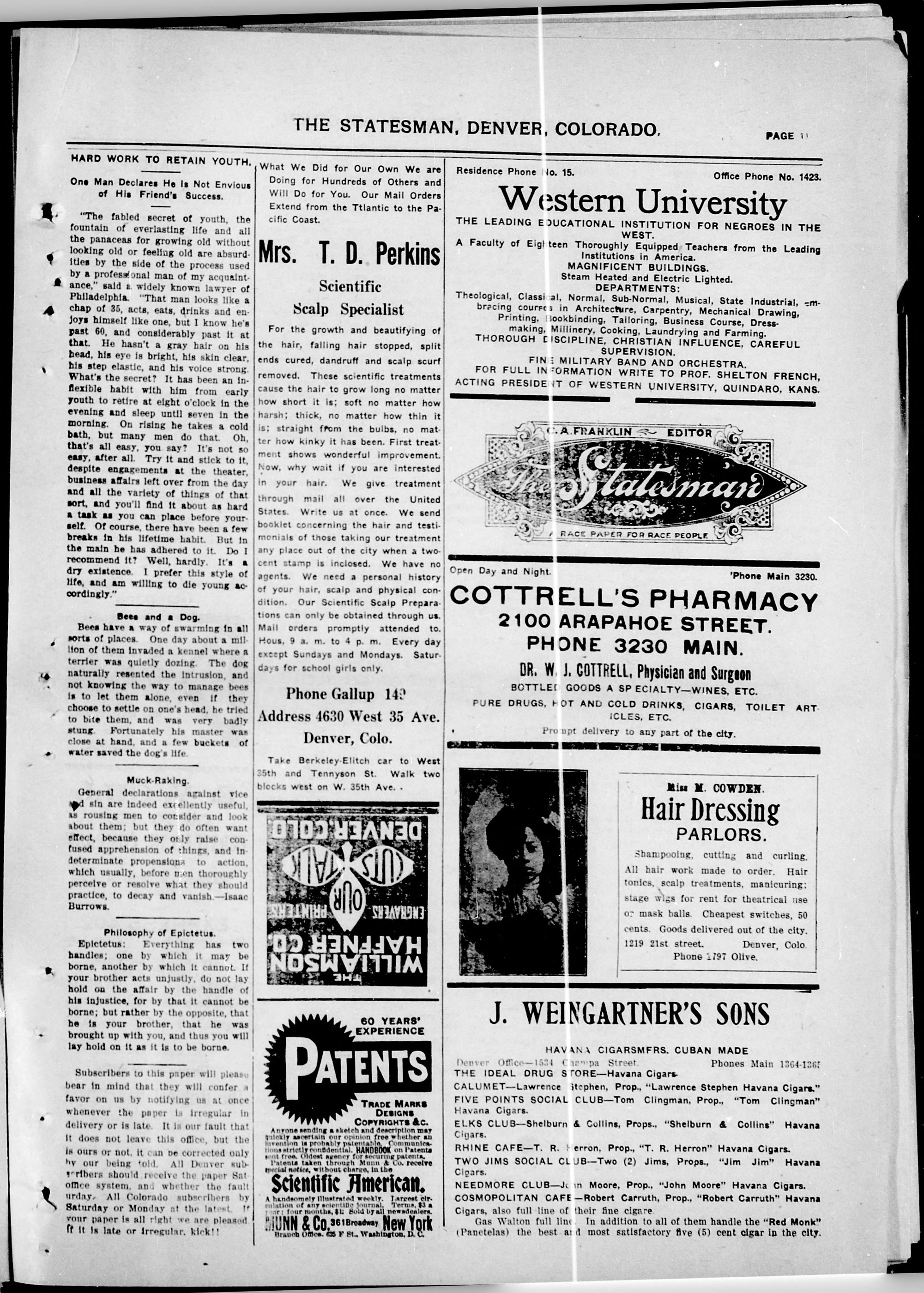 Page 3