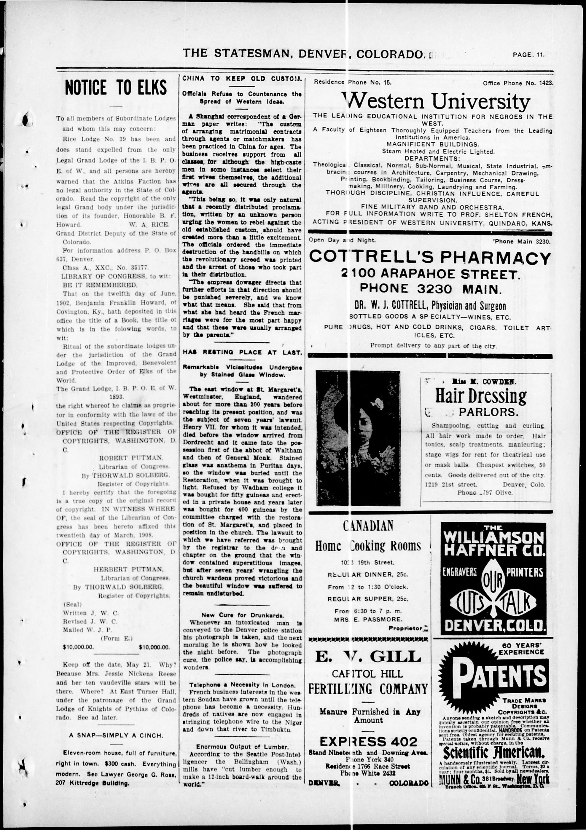 Page 3