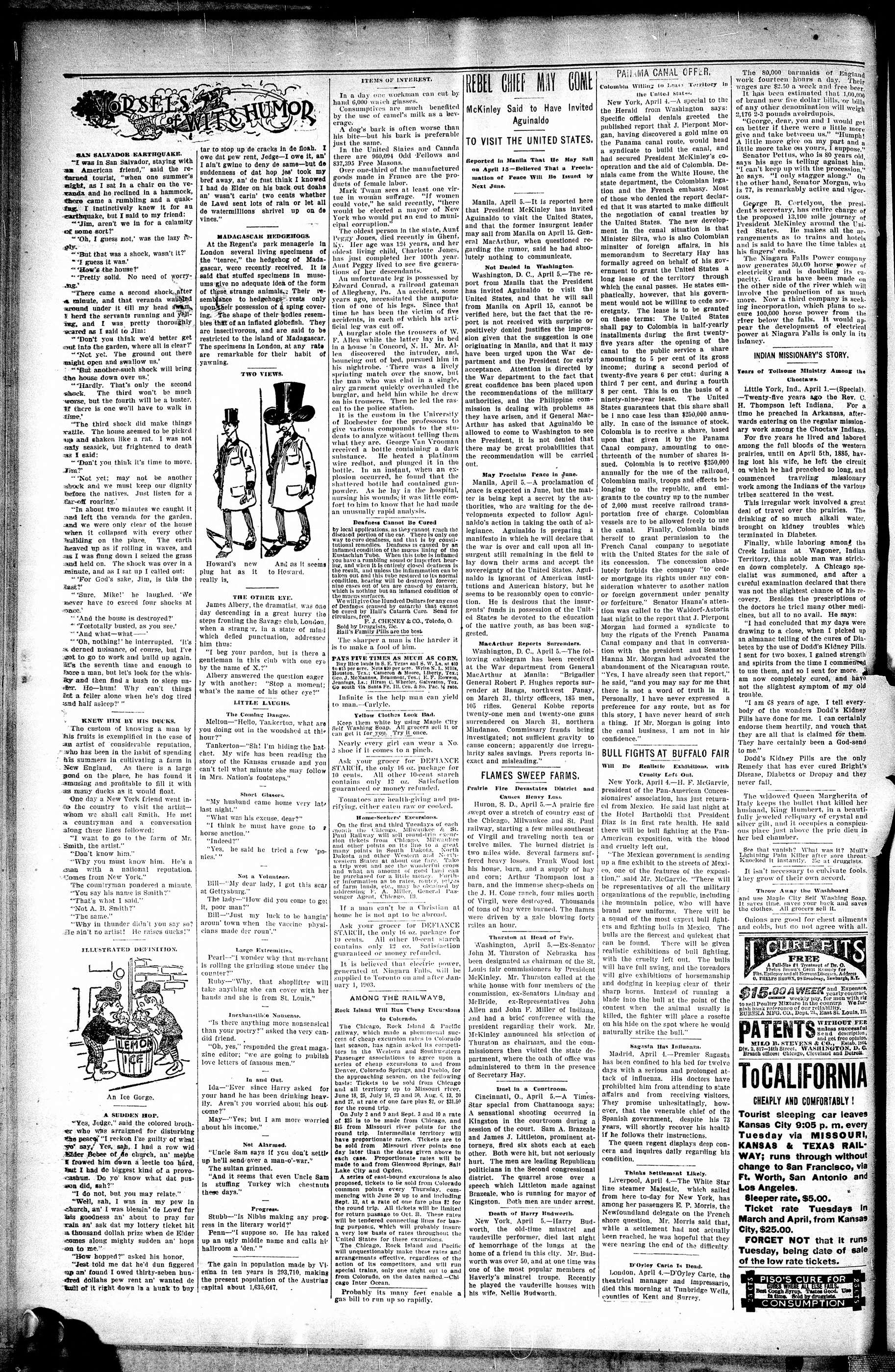 Page 6