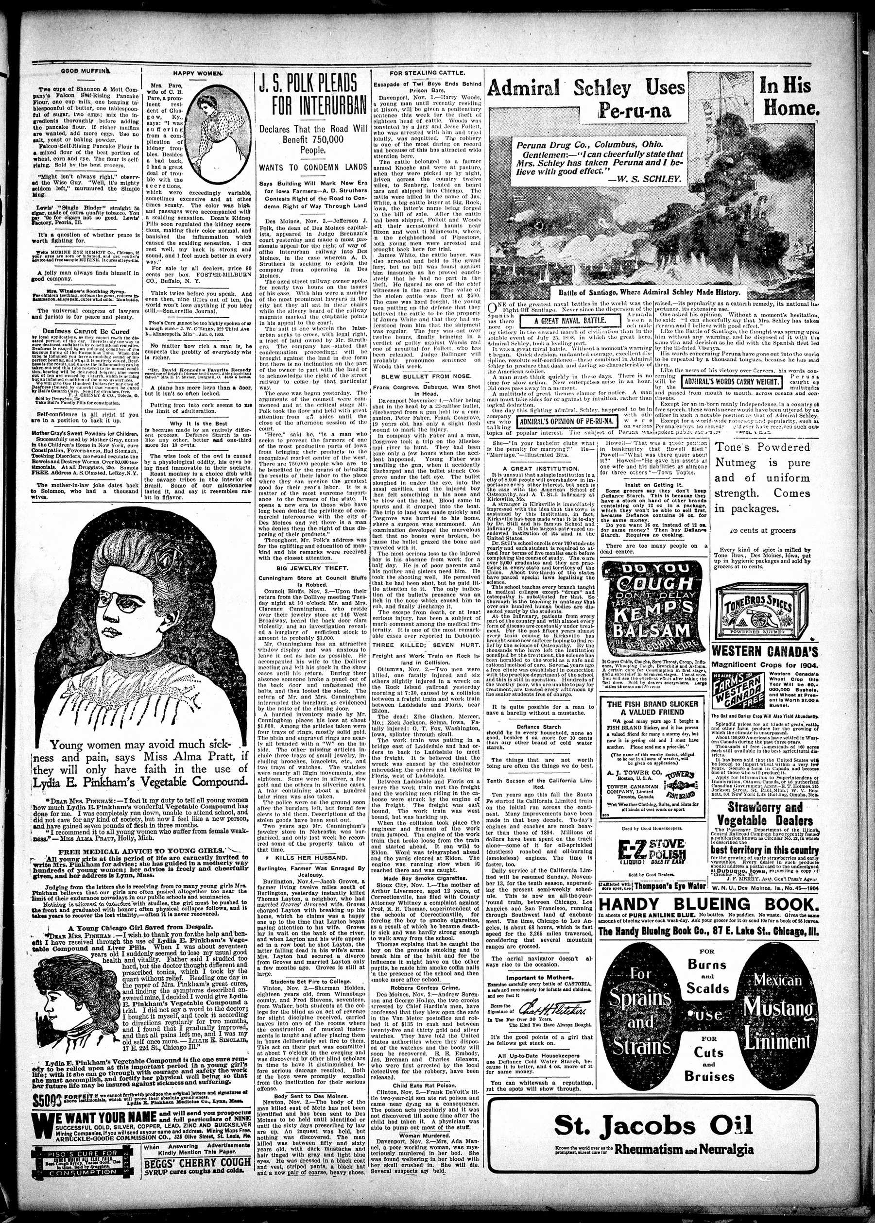 Page 3