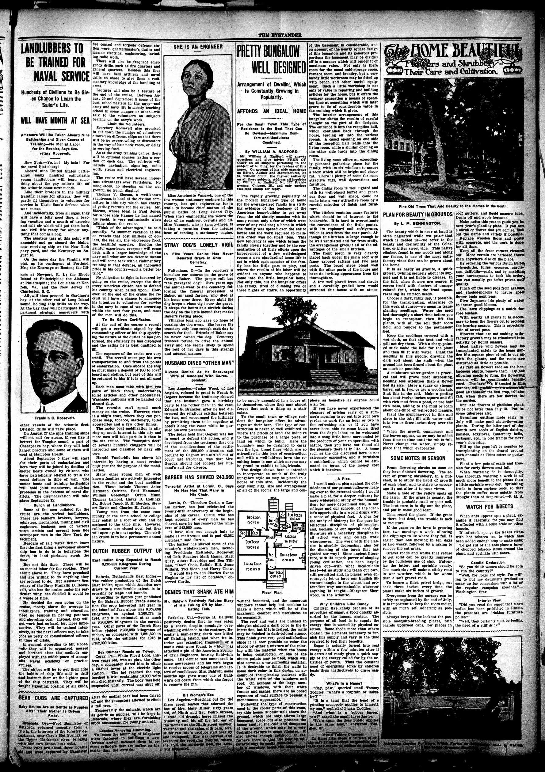 Page 3
