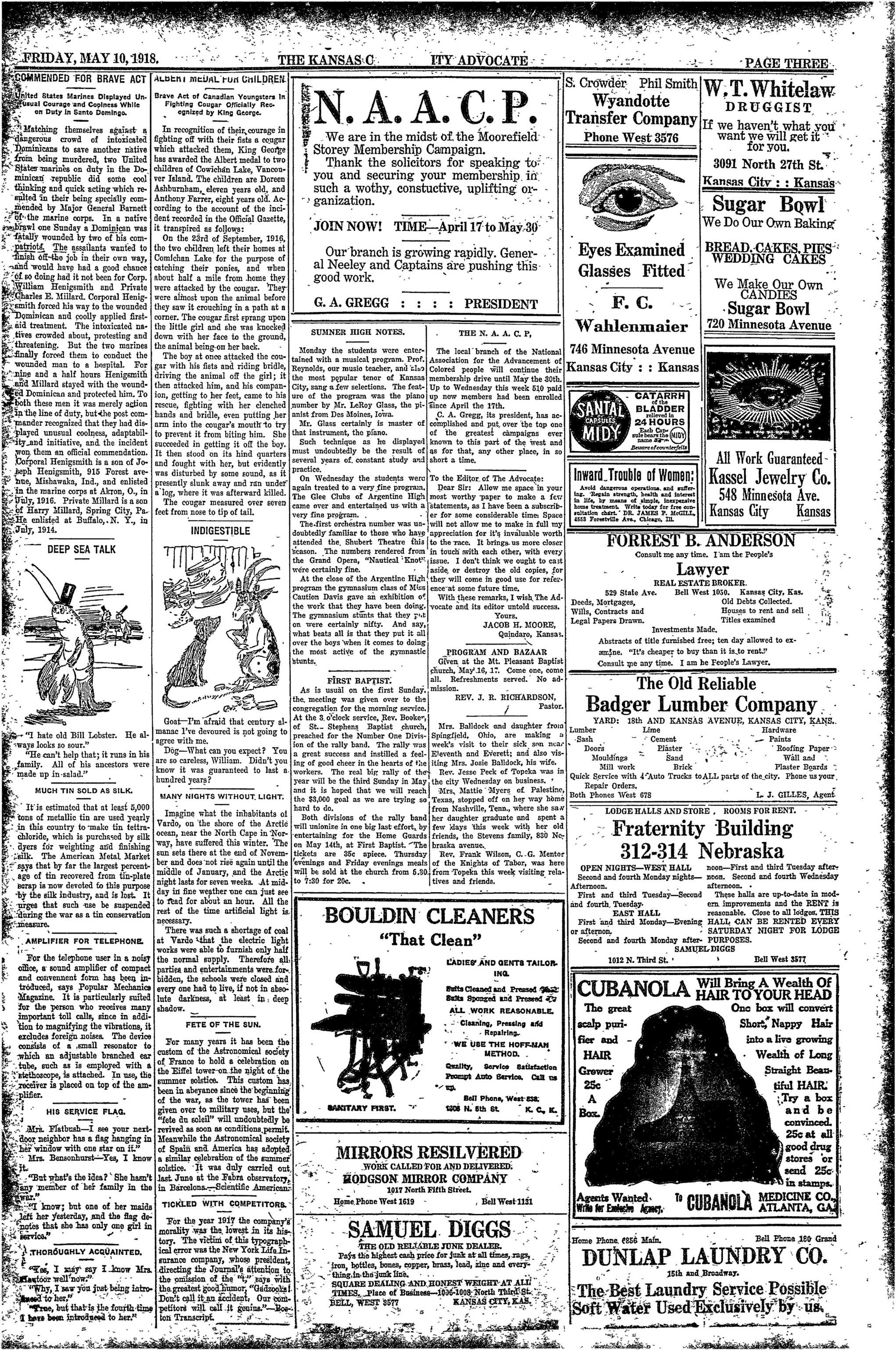 Page 3