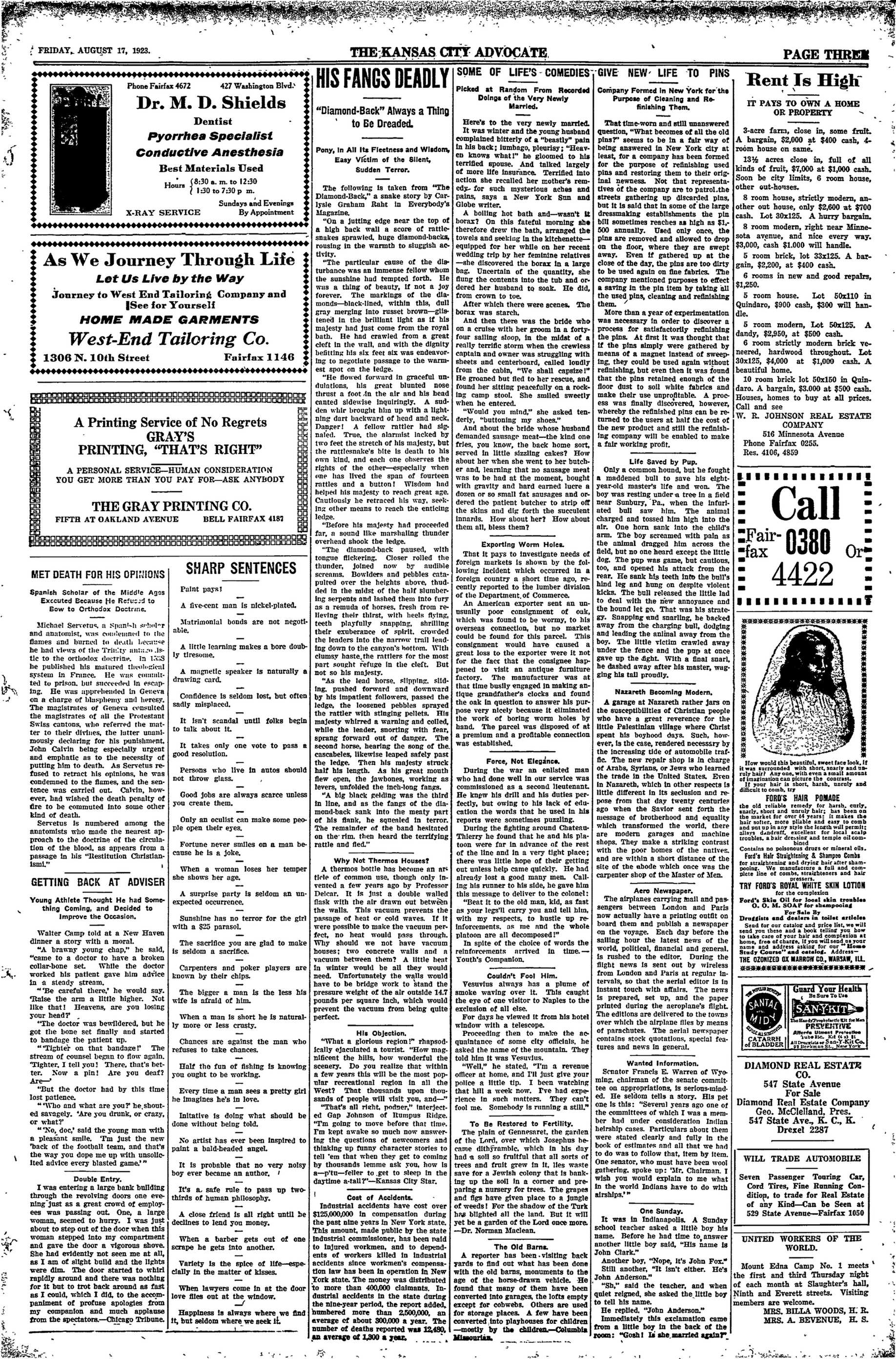 Page 3
