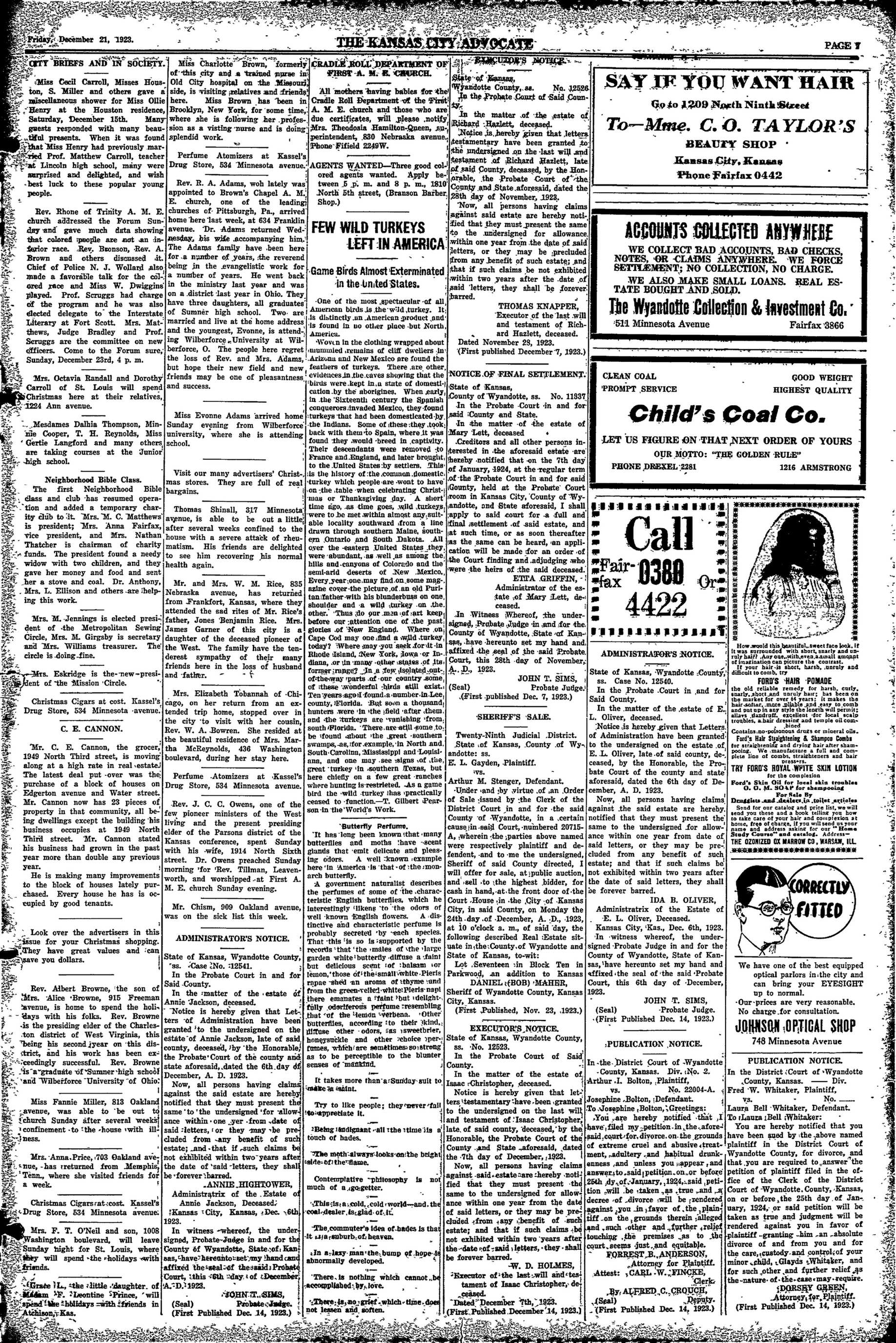 Page 7