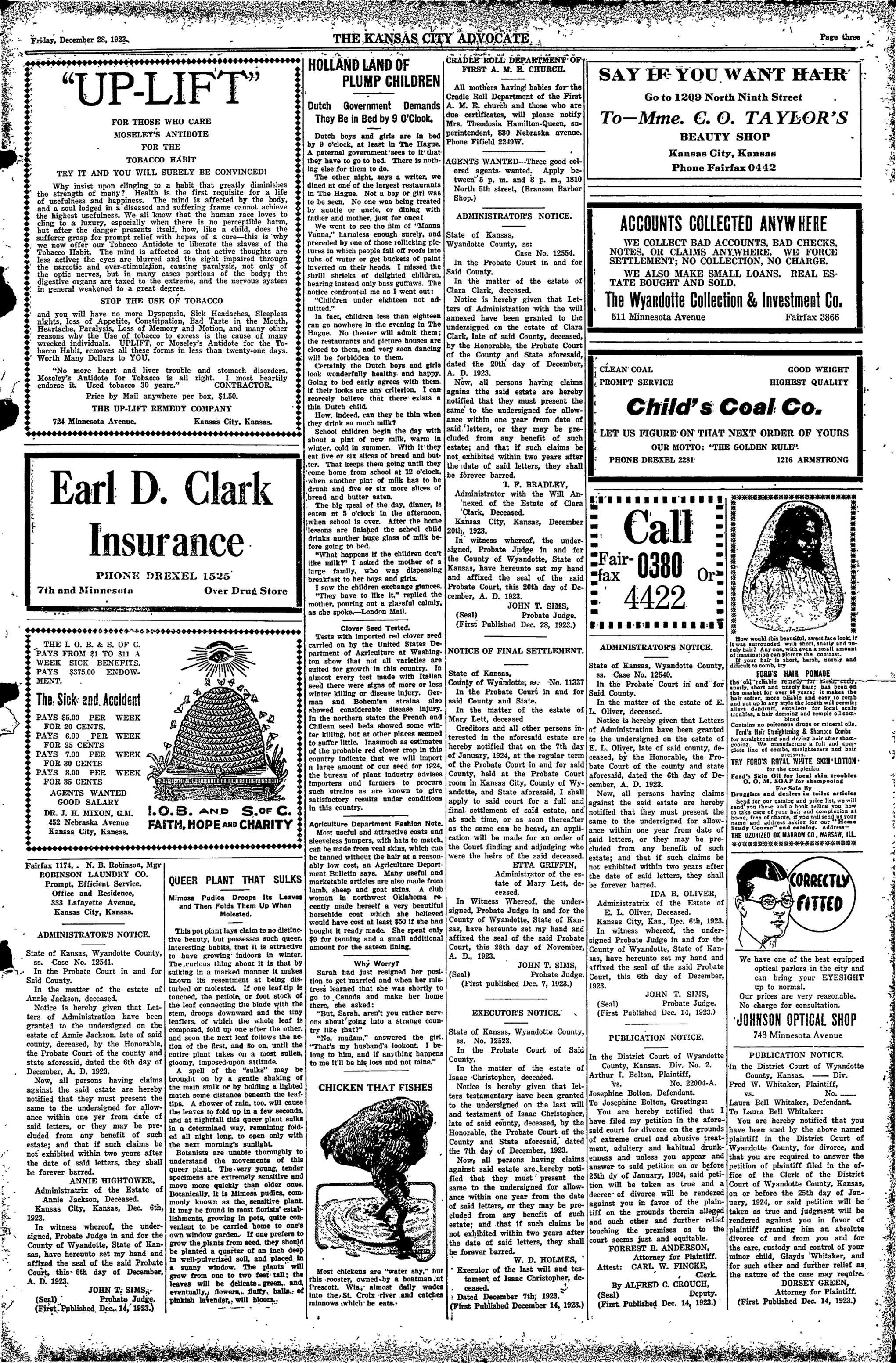 Page 3