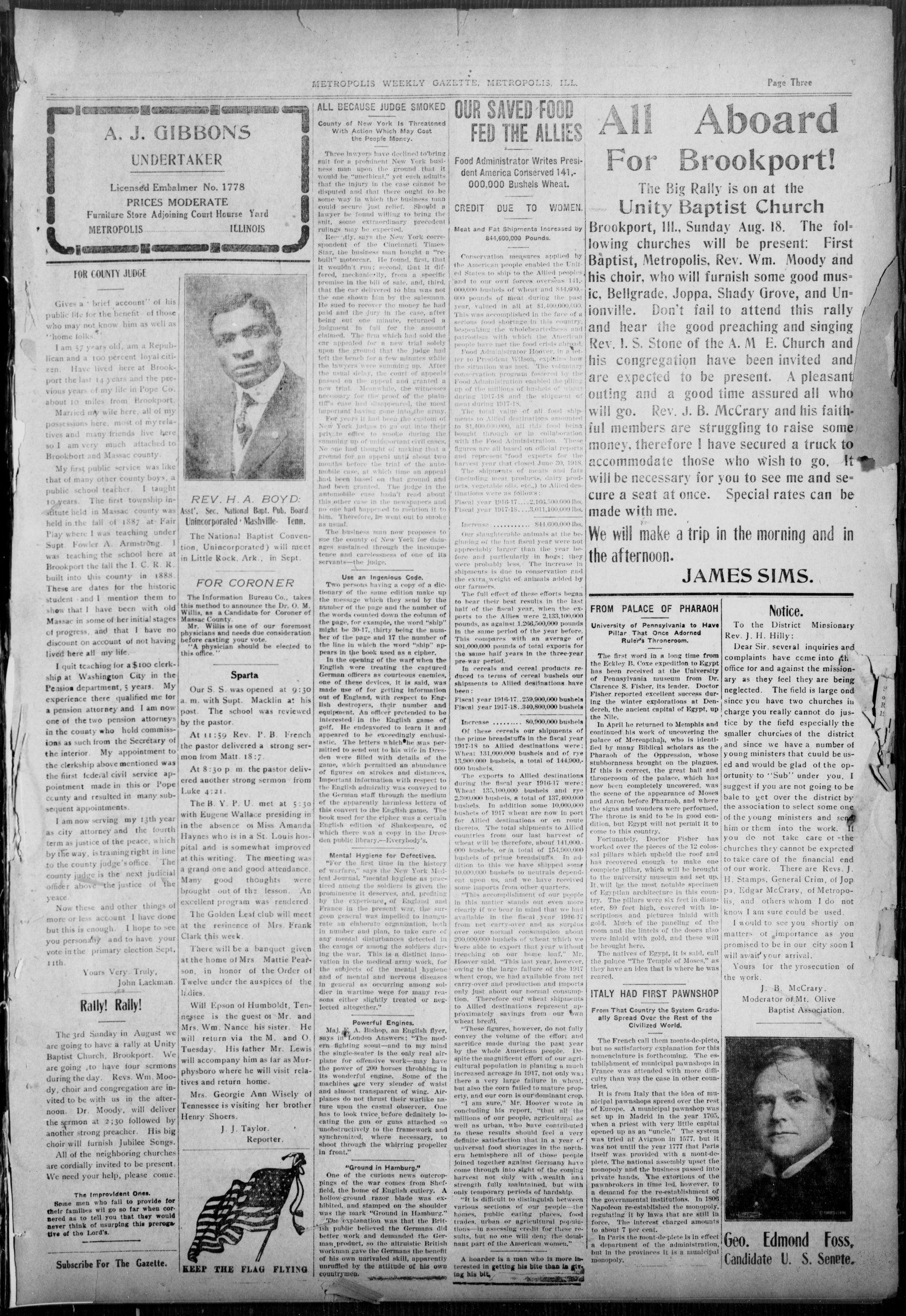 Page 3