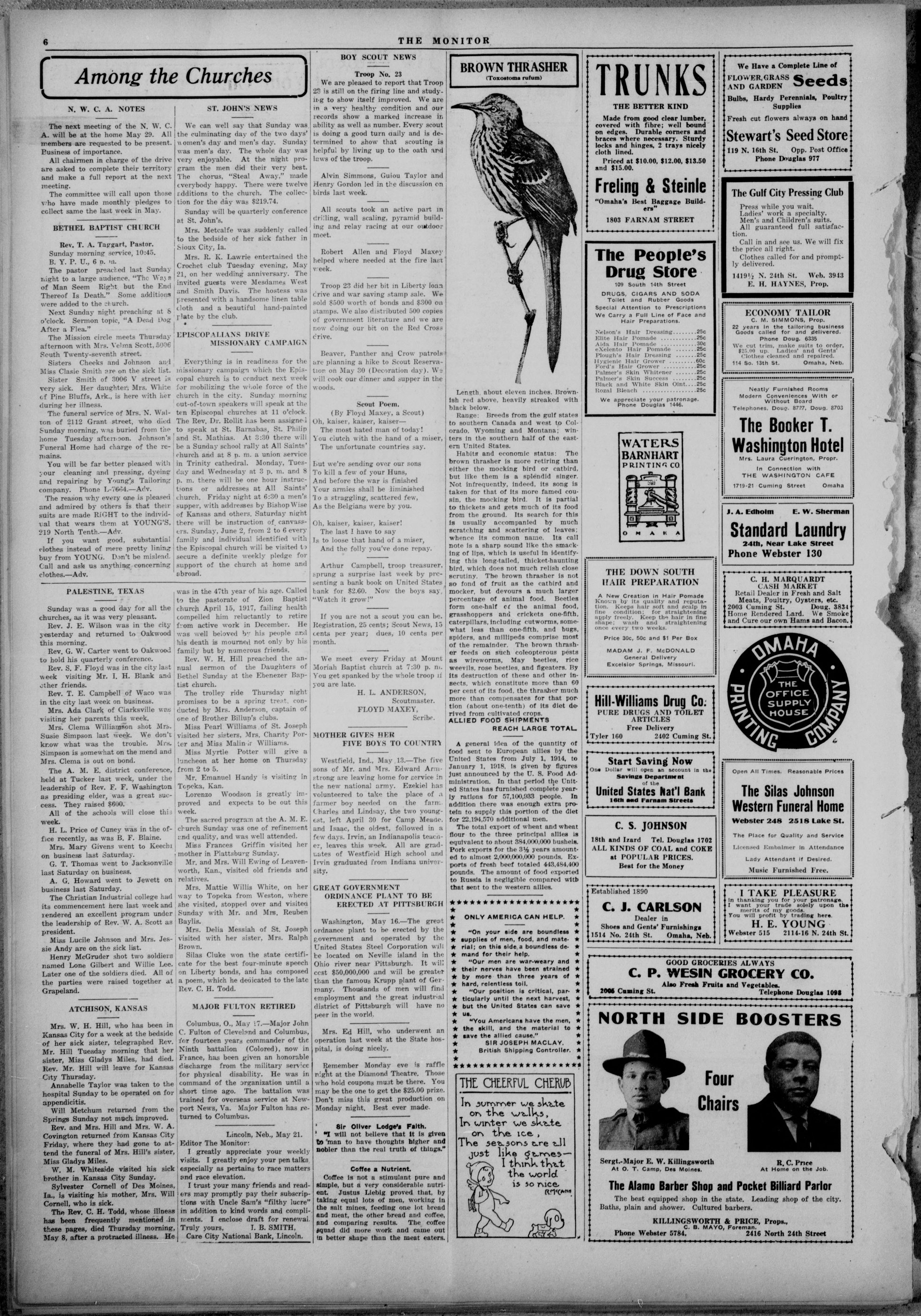 Page 6