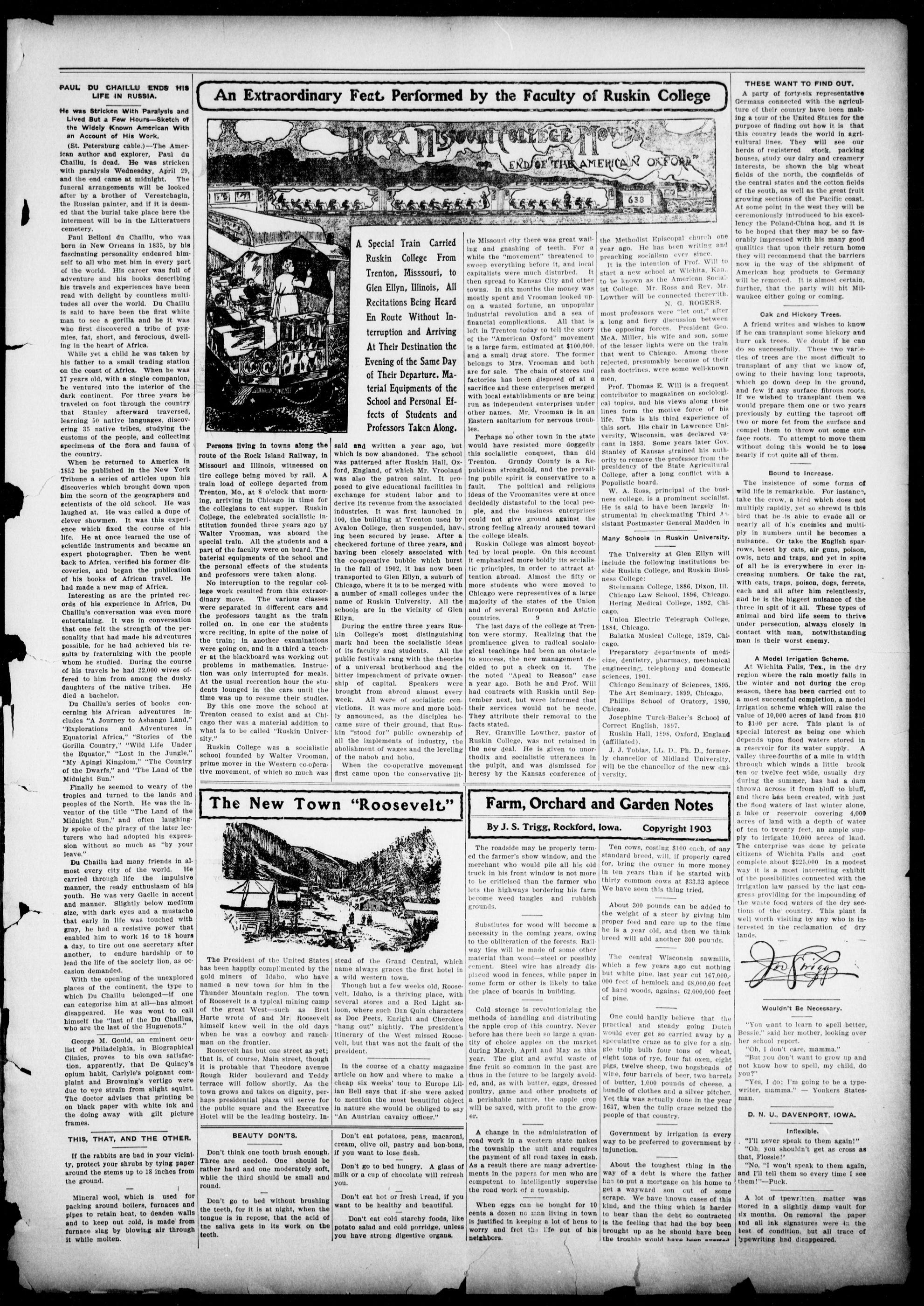 Page 3