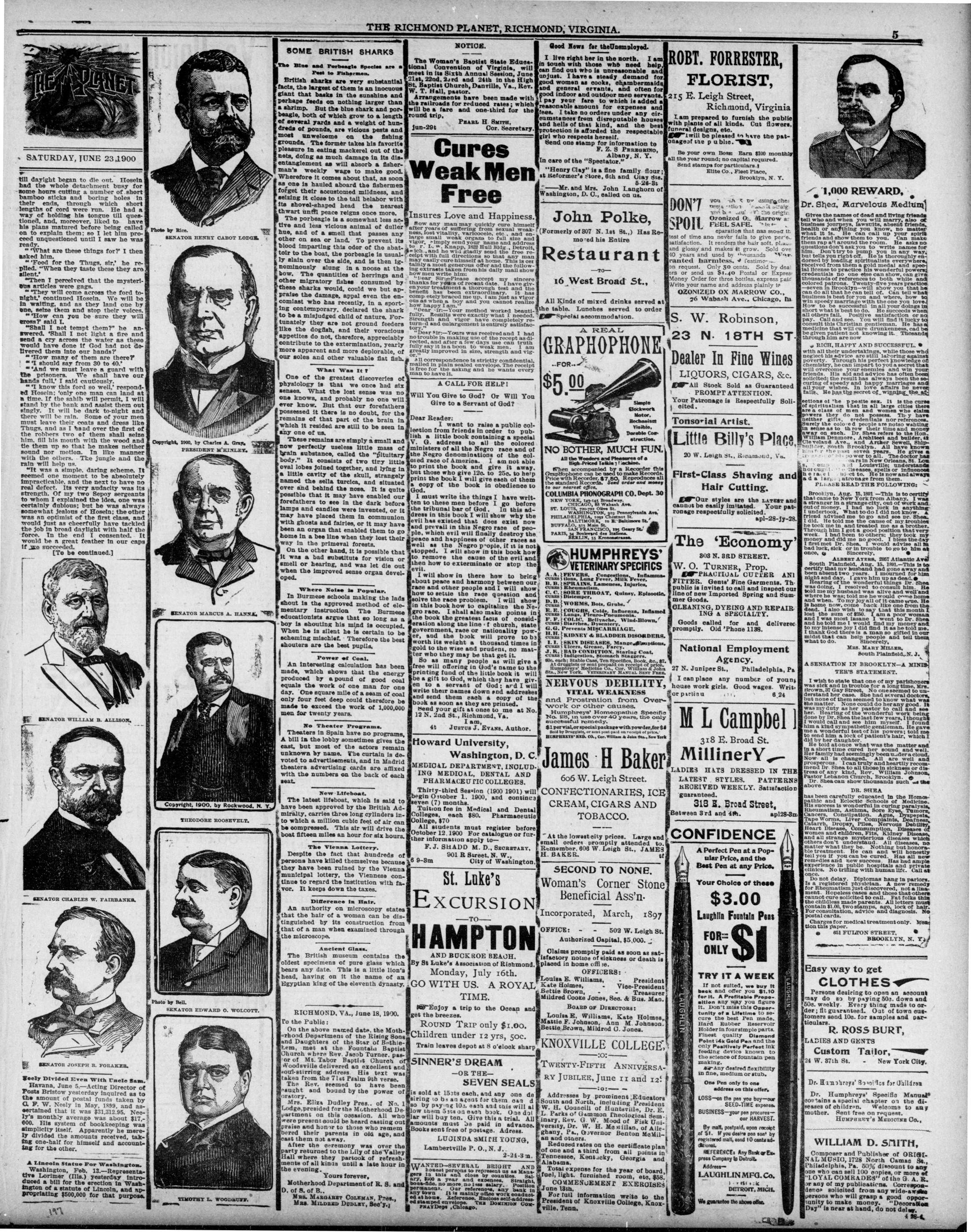 Page 5
