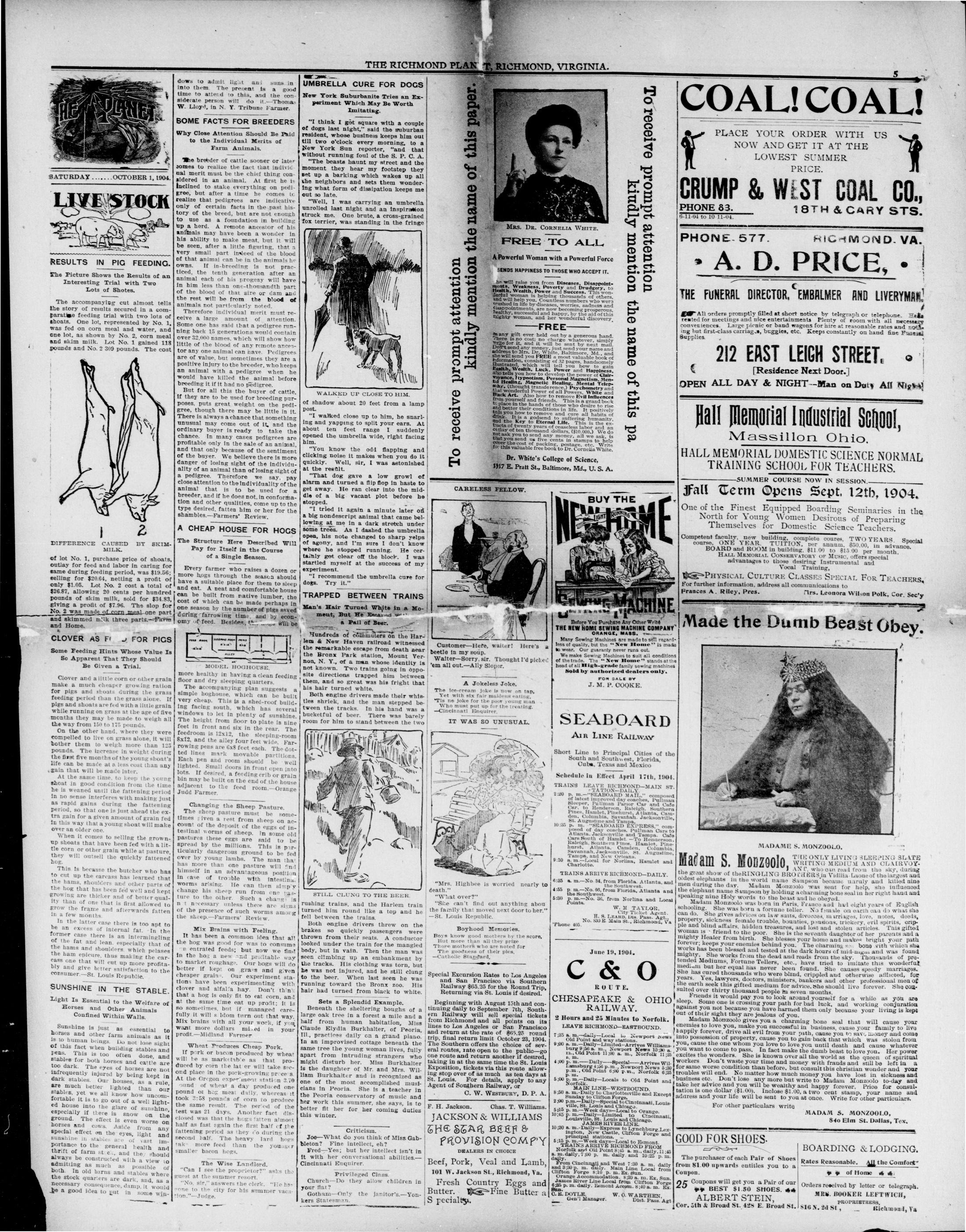 Page 5