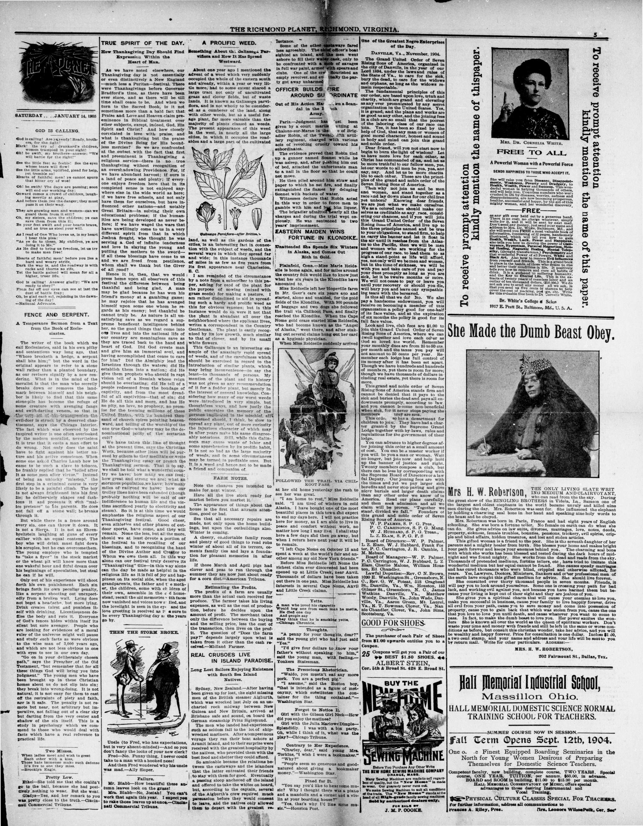 Page 5