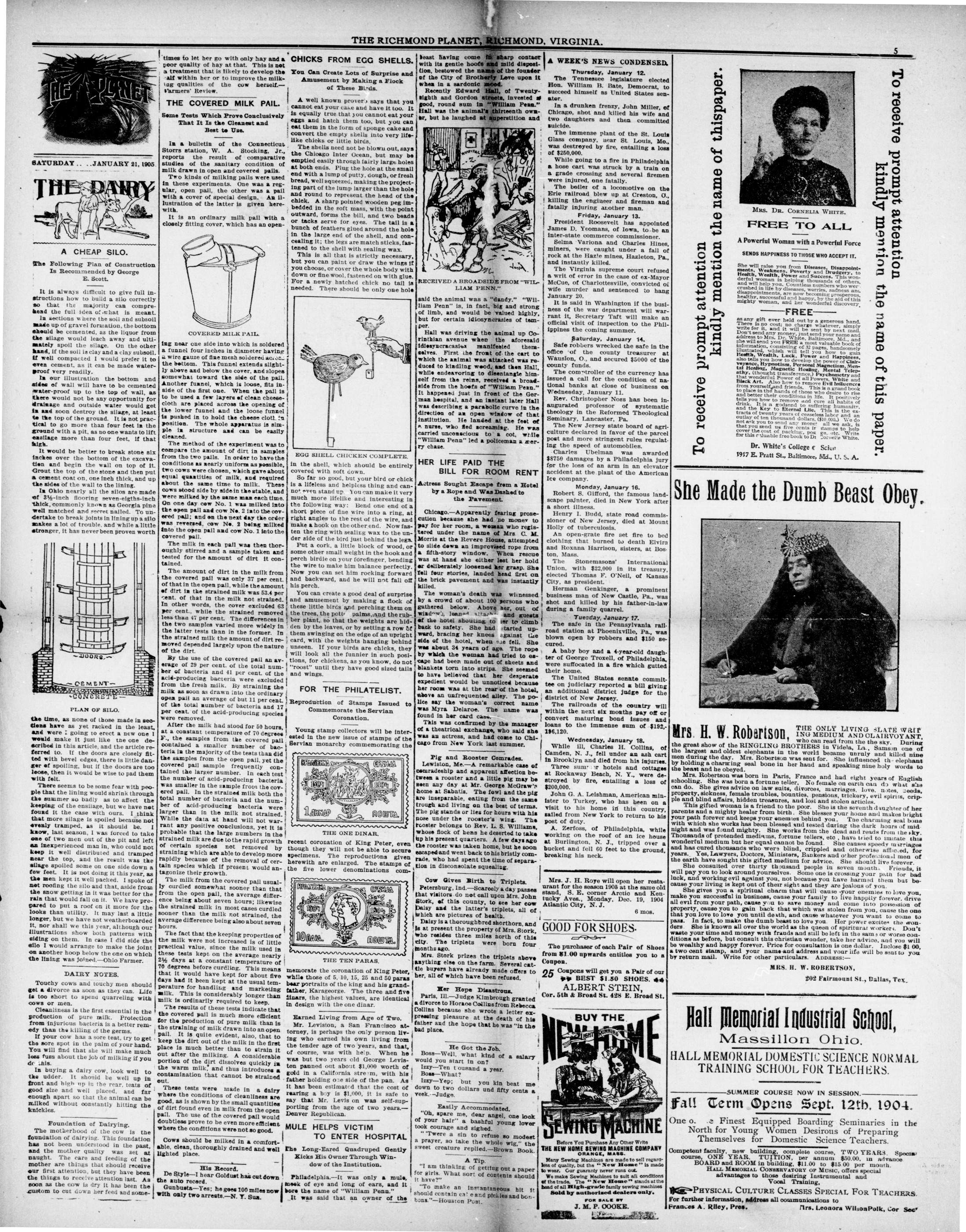 Page 5
