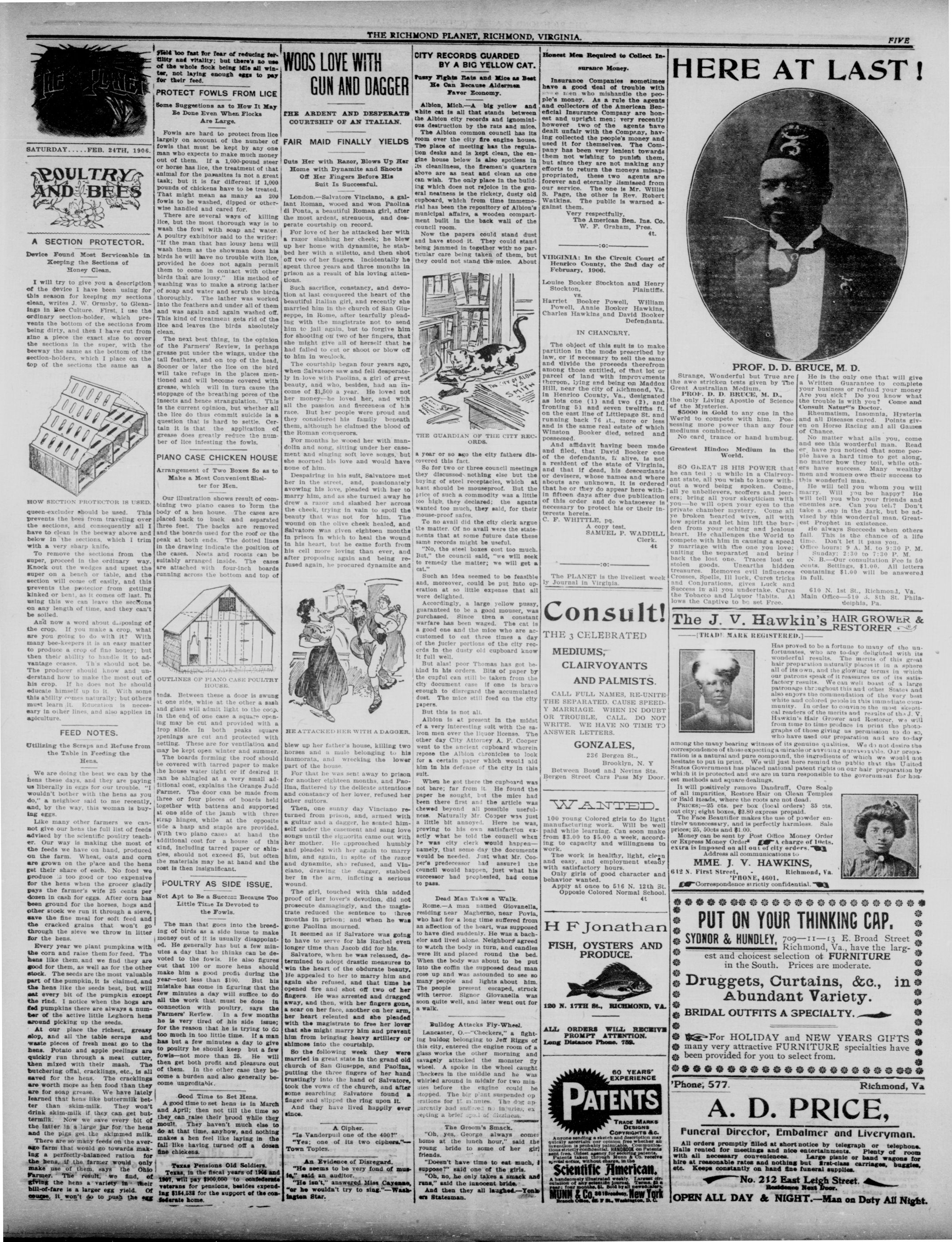 Page 5