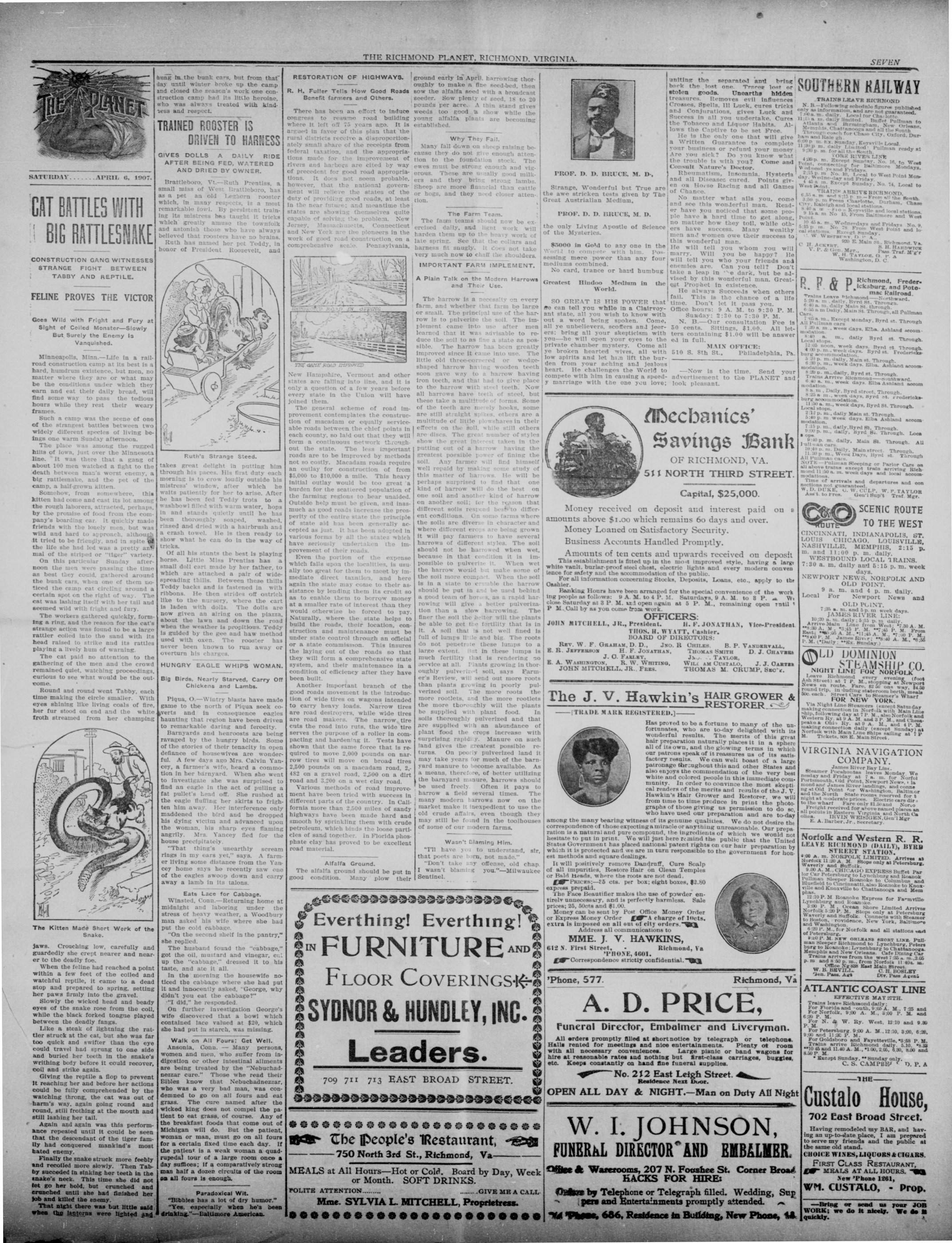 Page 7