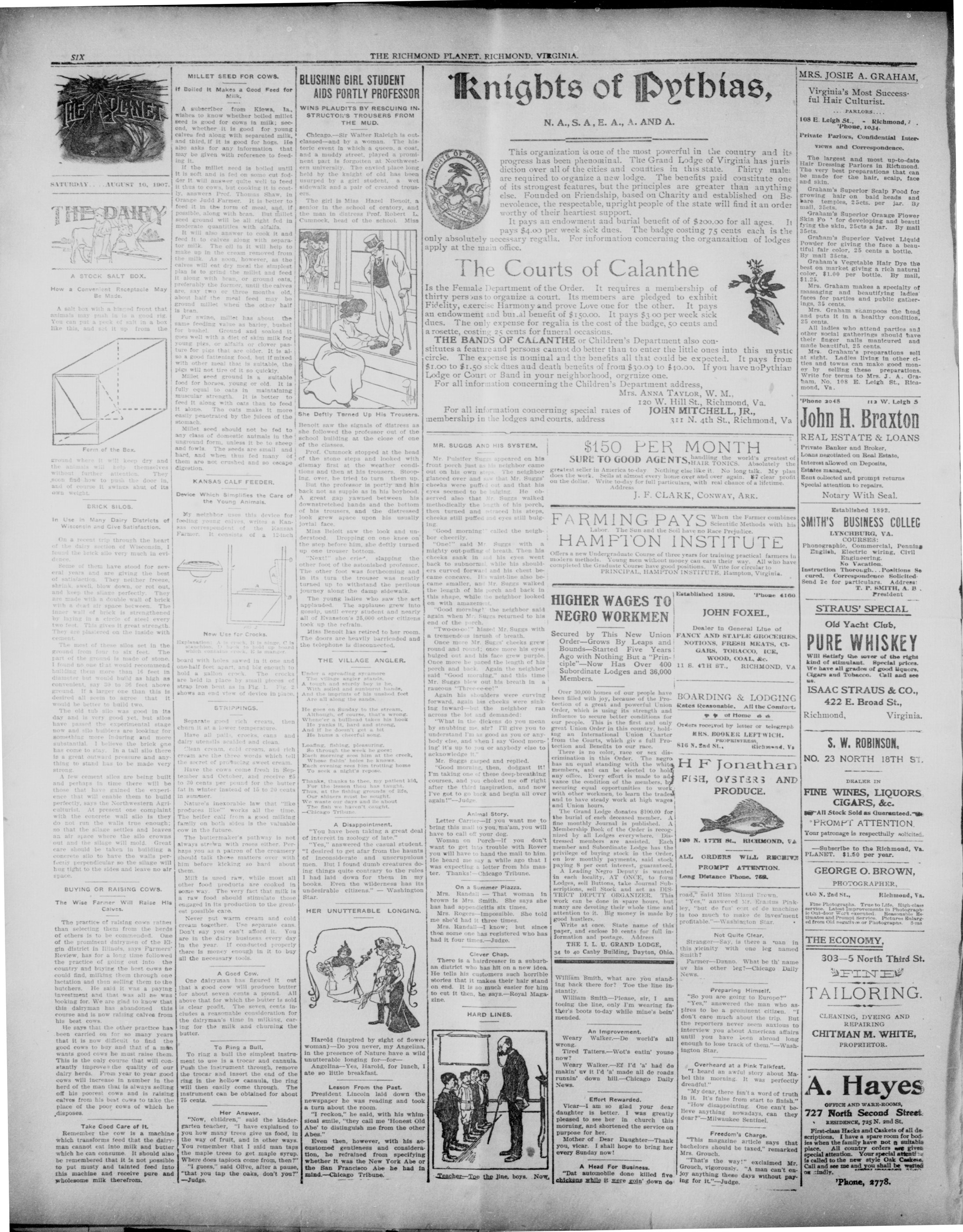 Page 6