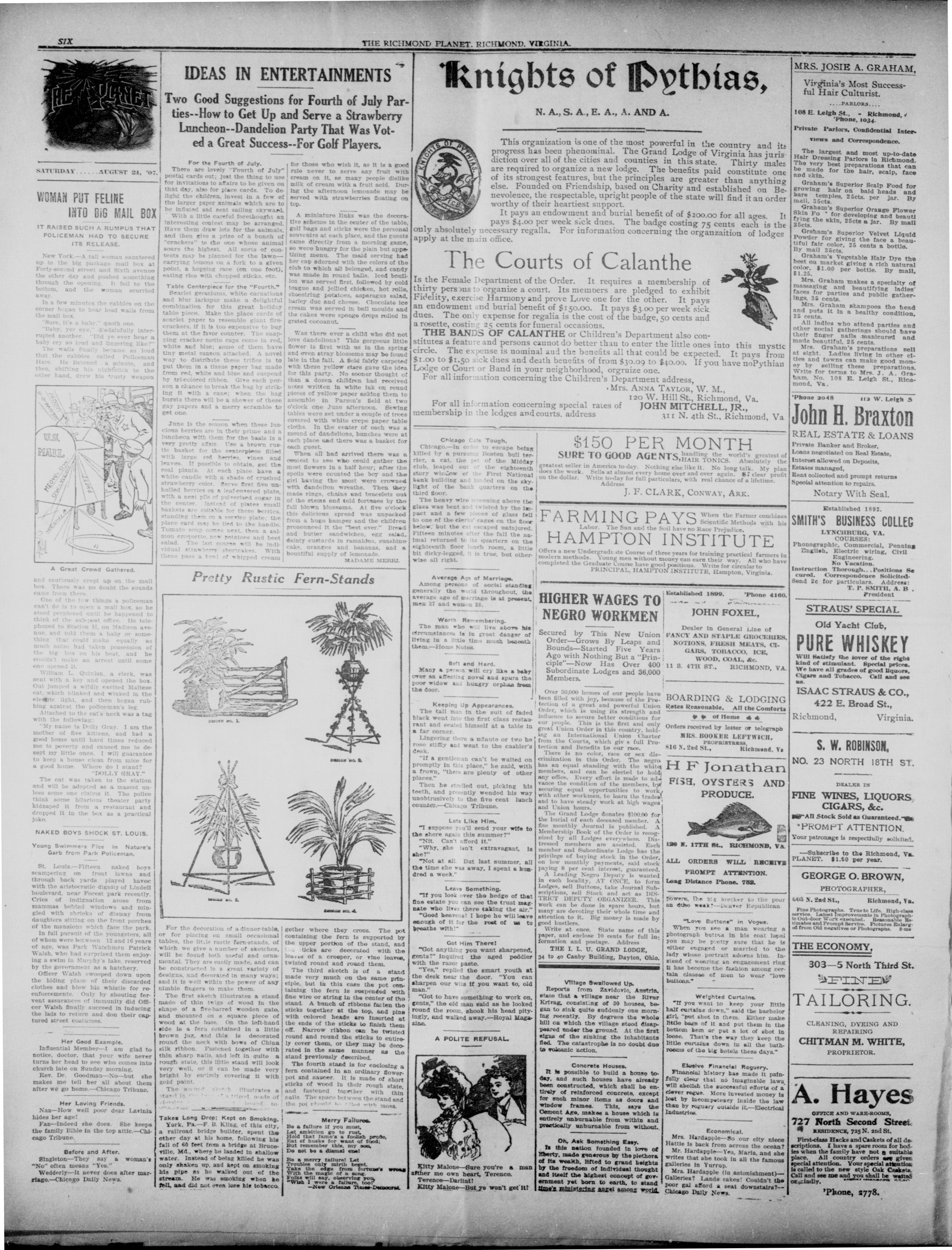 Page 6