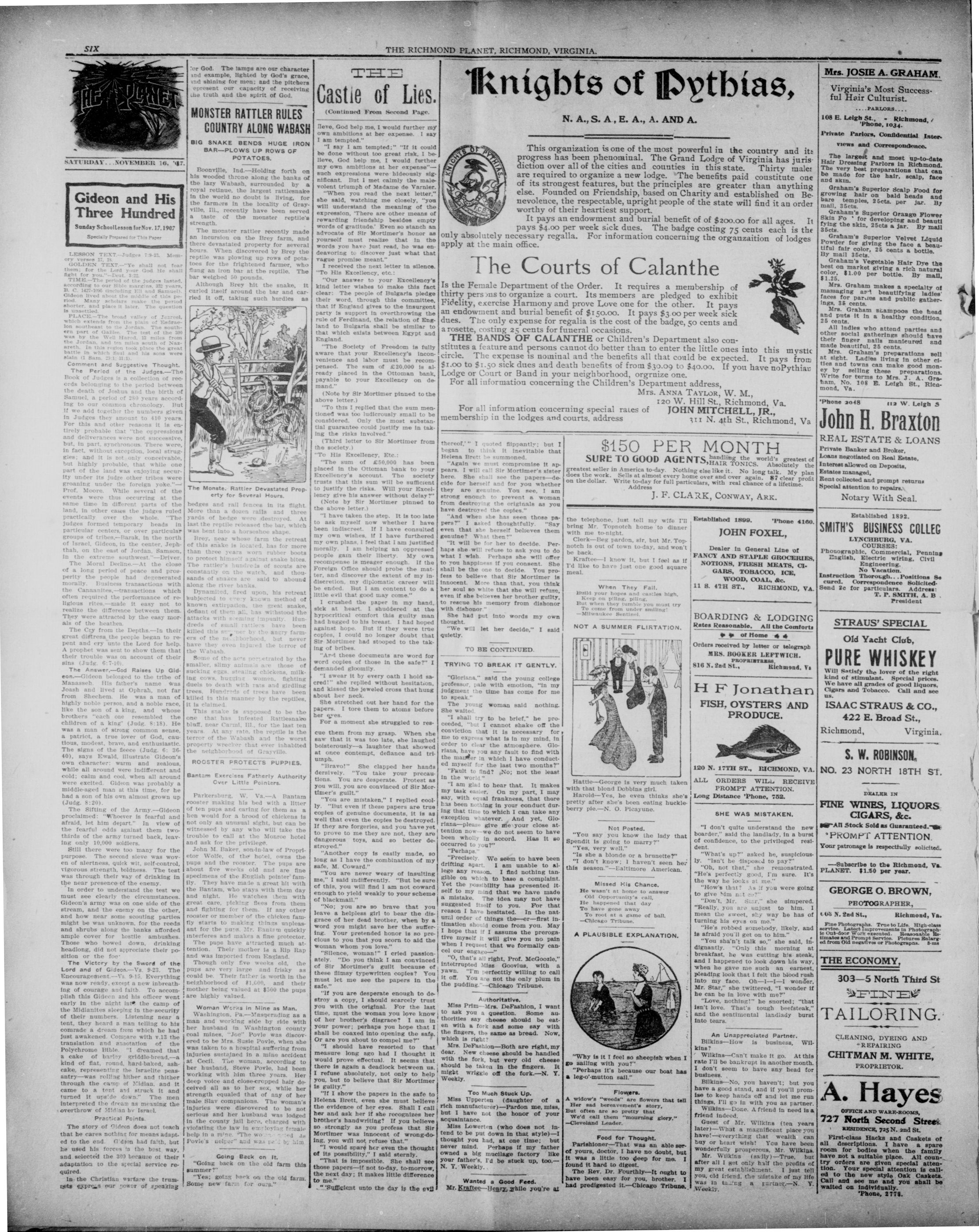 Page 6