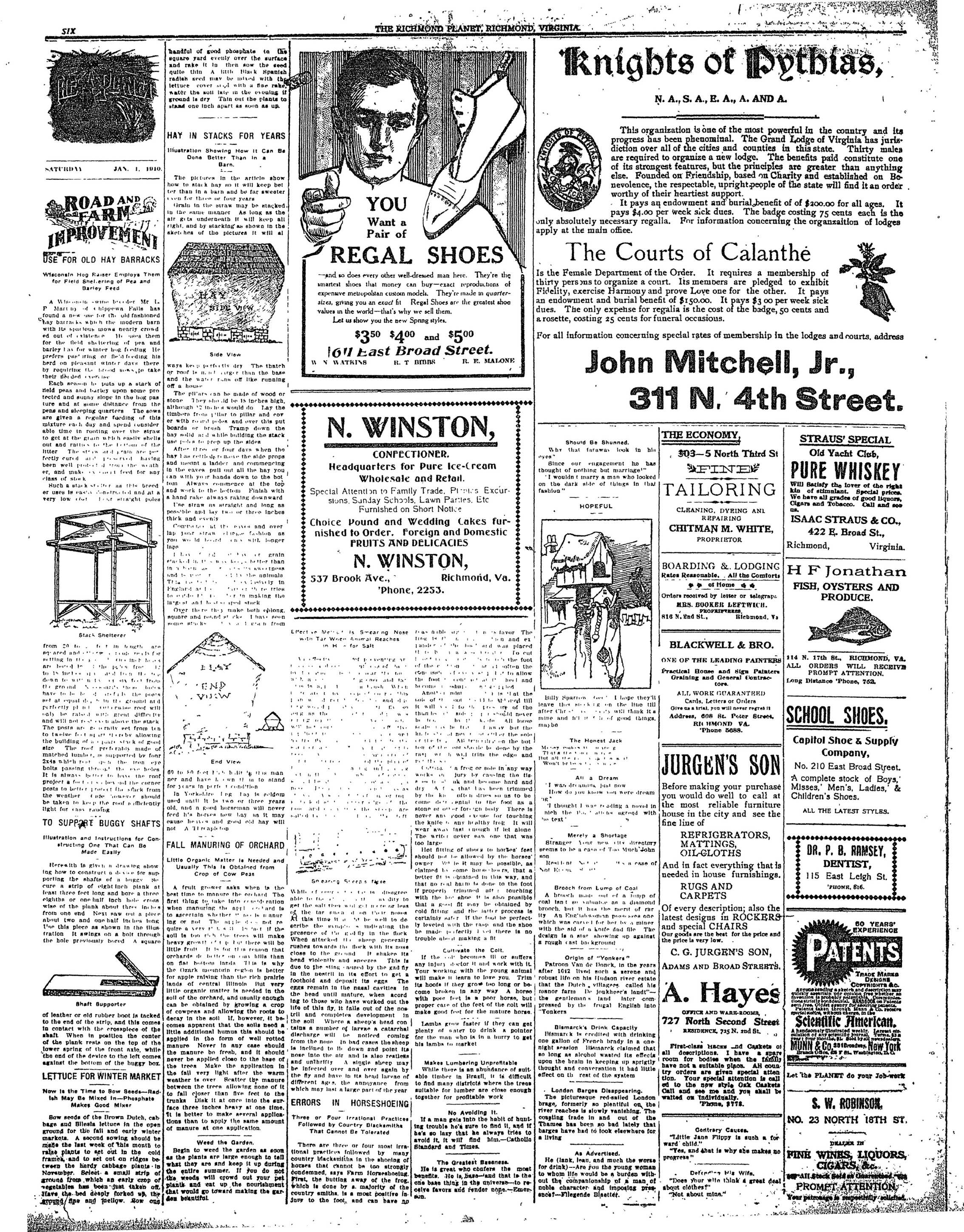 Page 6