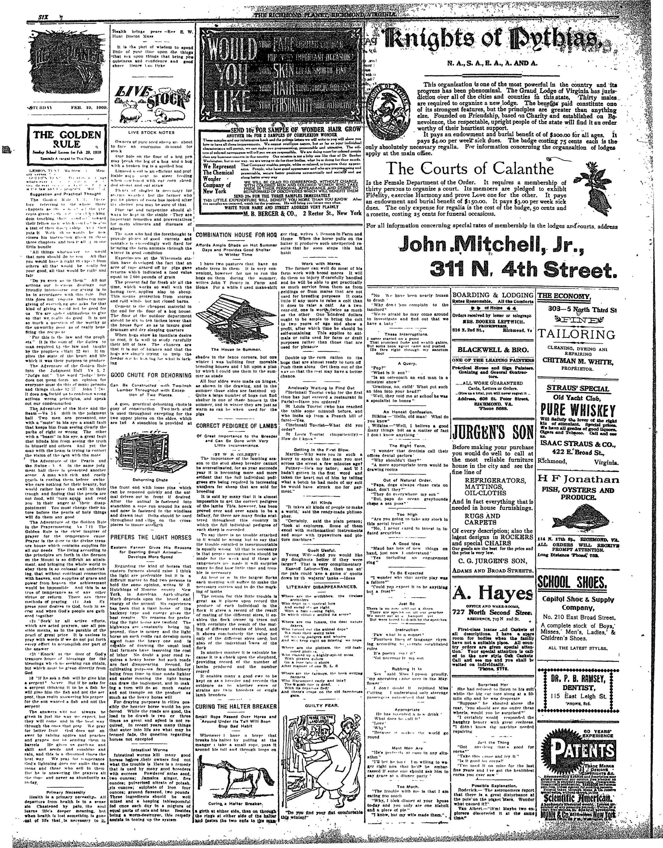 Page 6