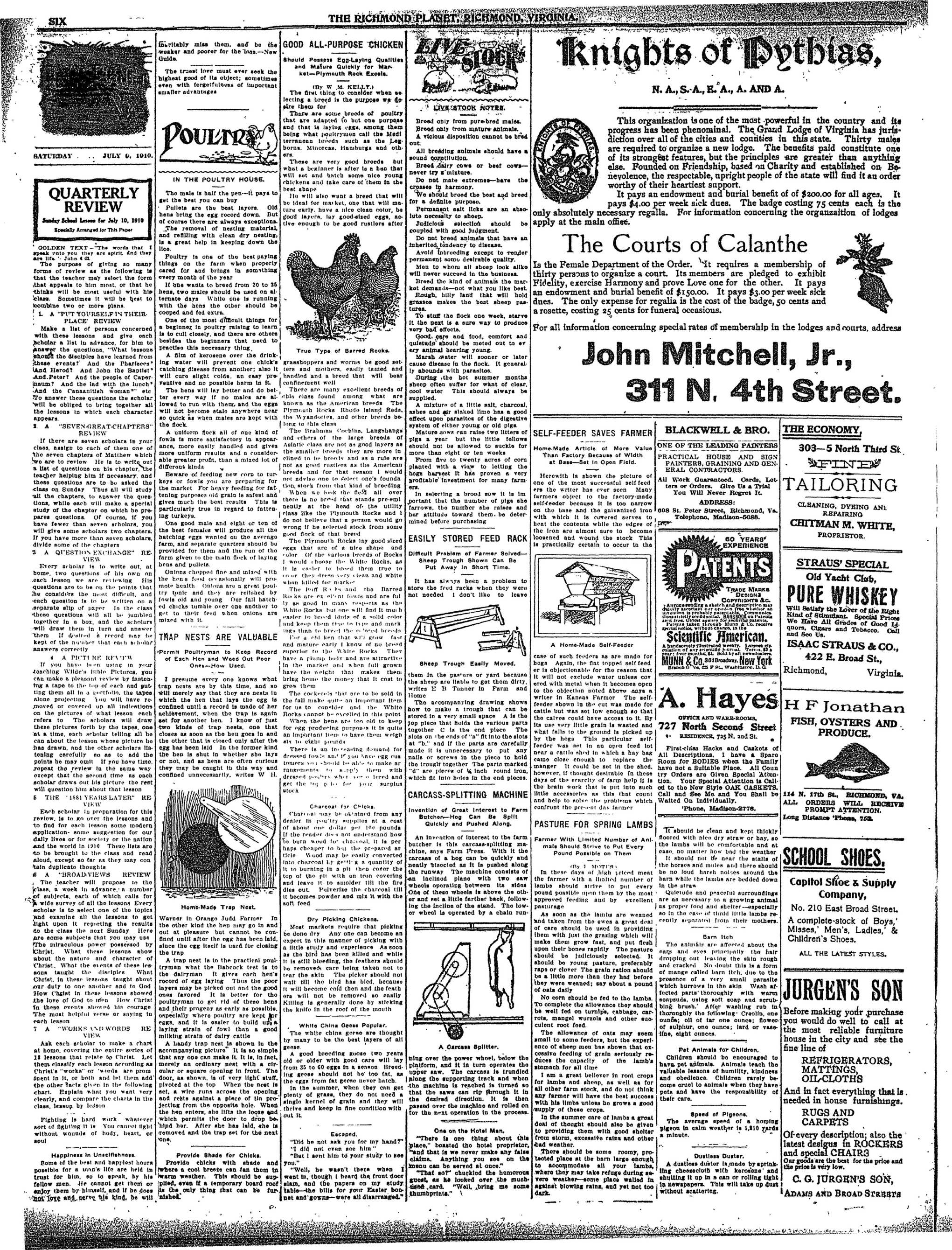 Page 6