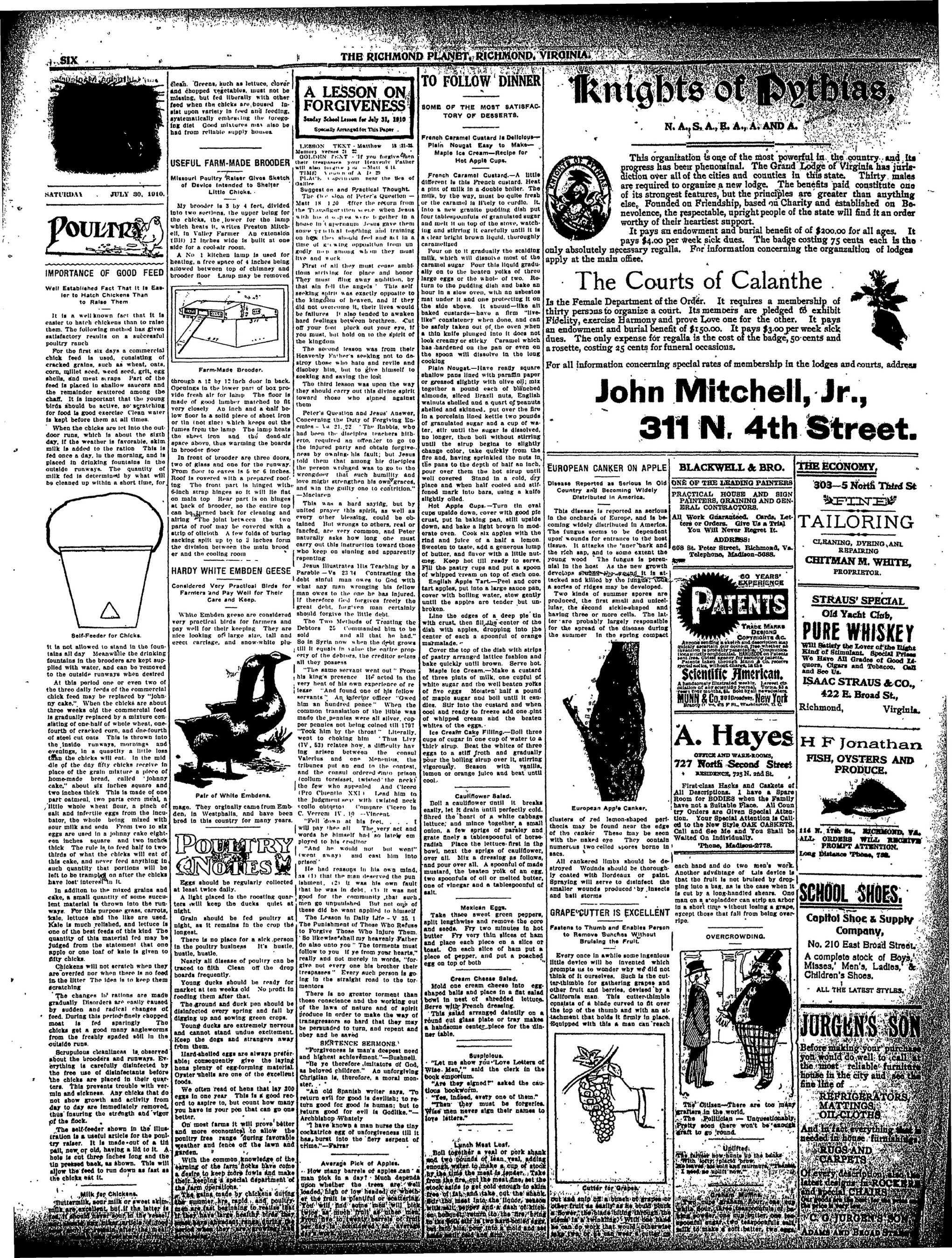 Page 6