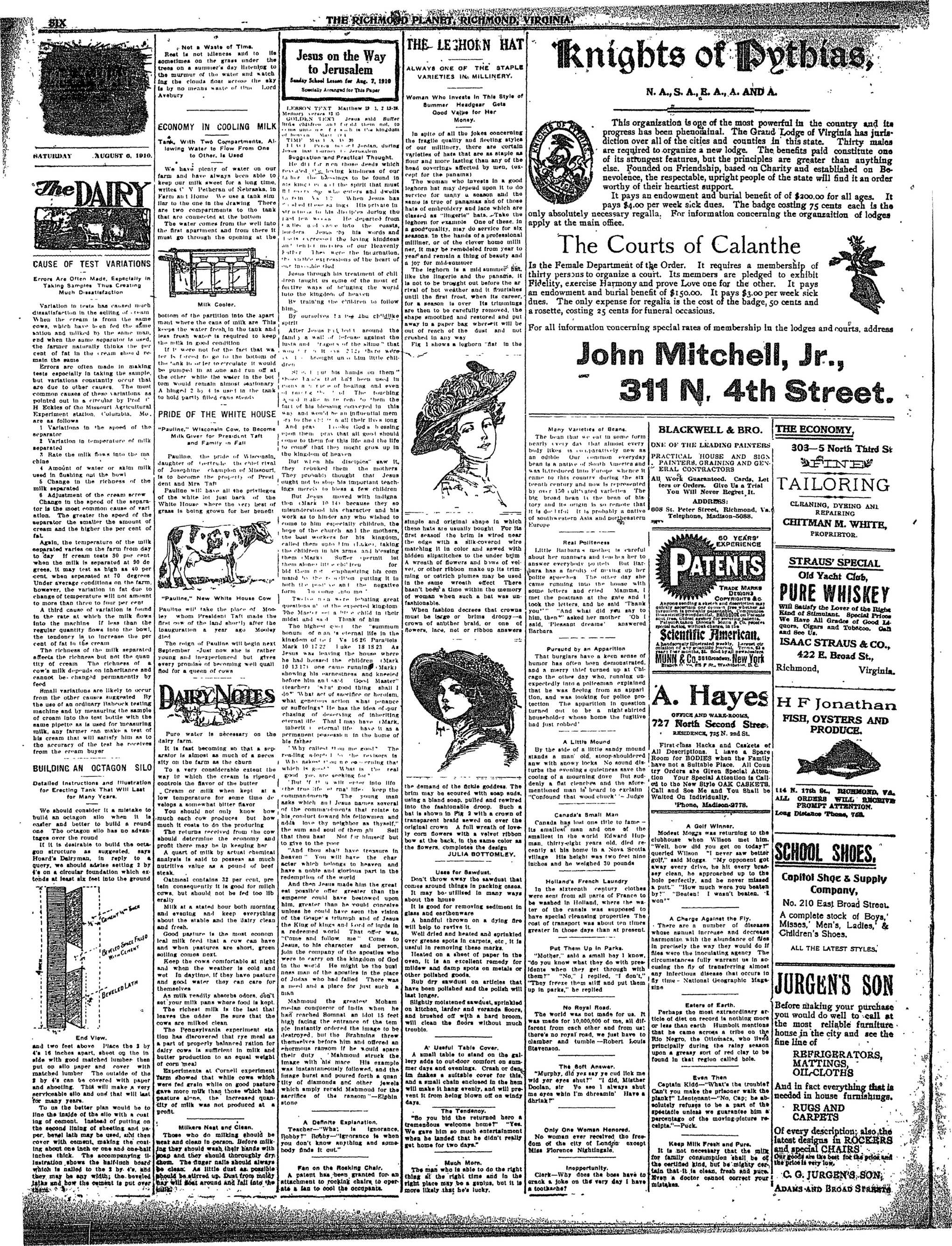 Page 6