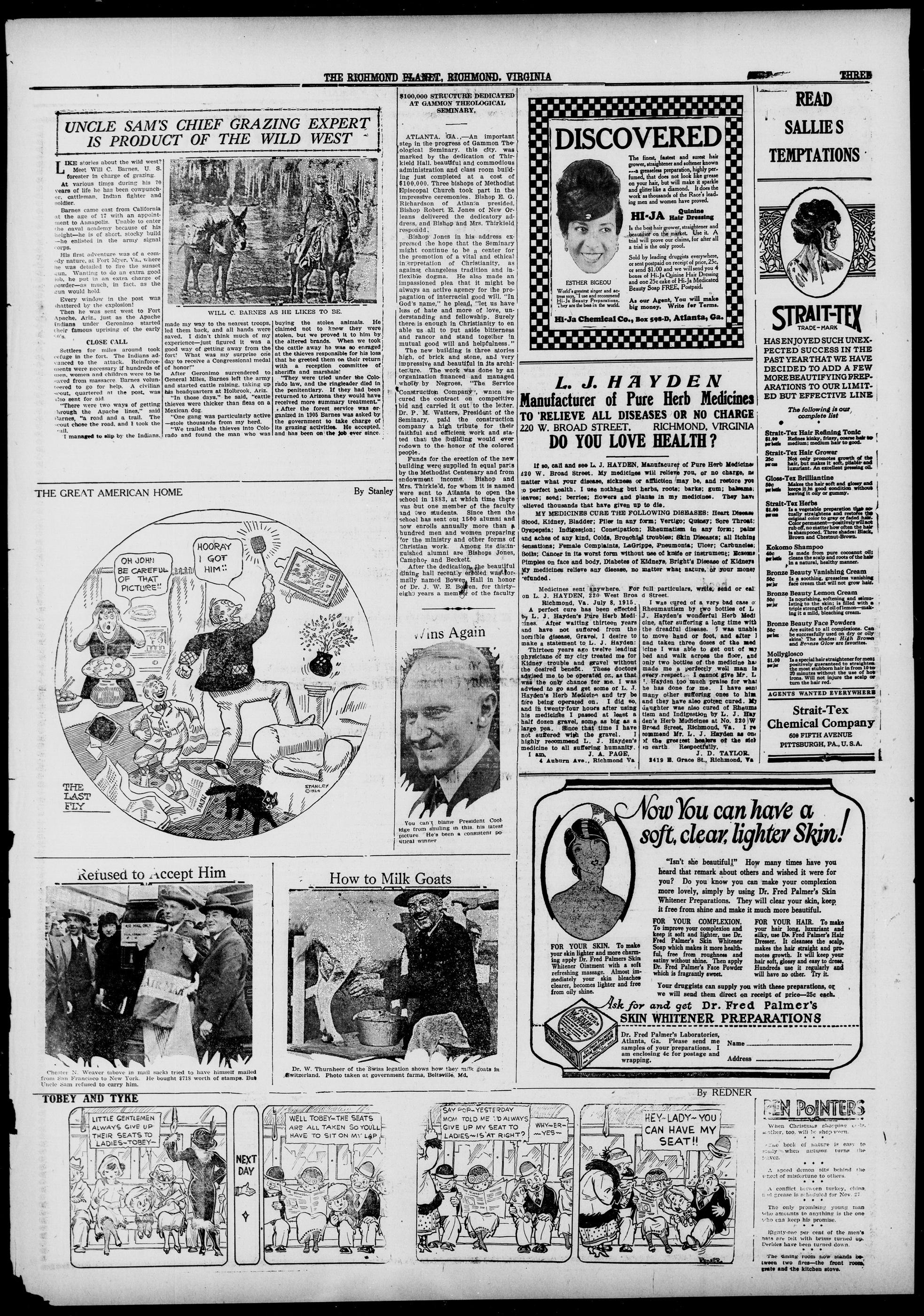 Page 3