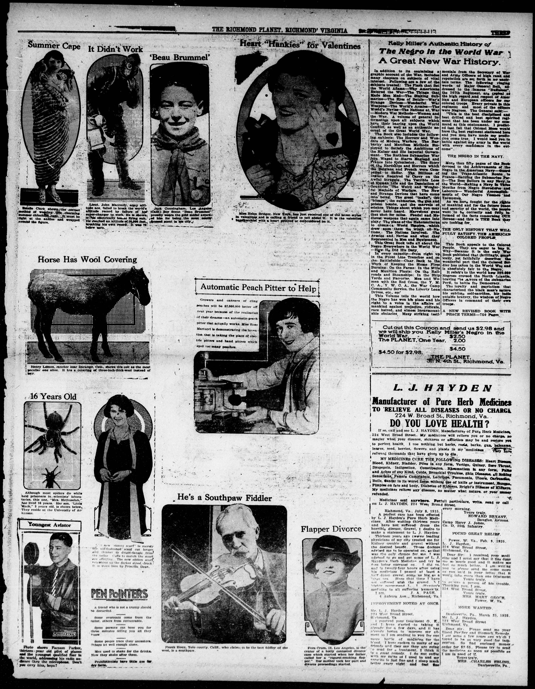 Page 3
