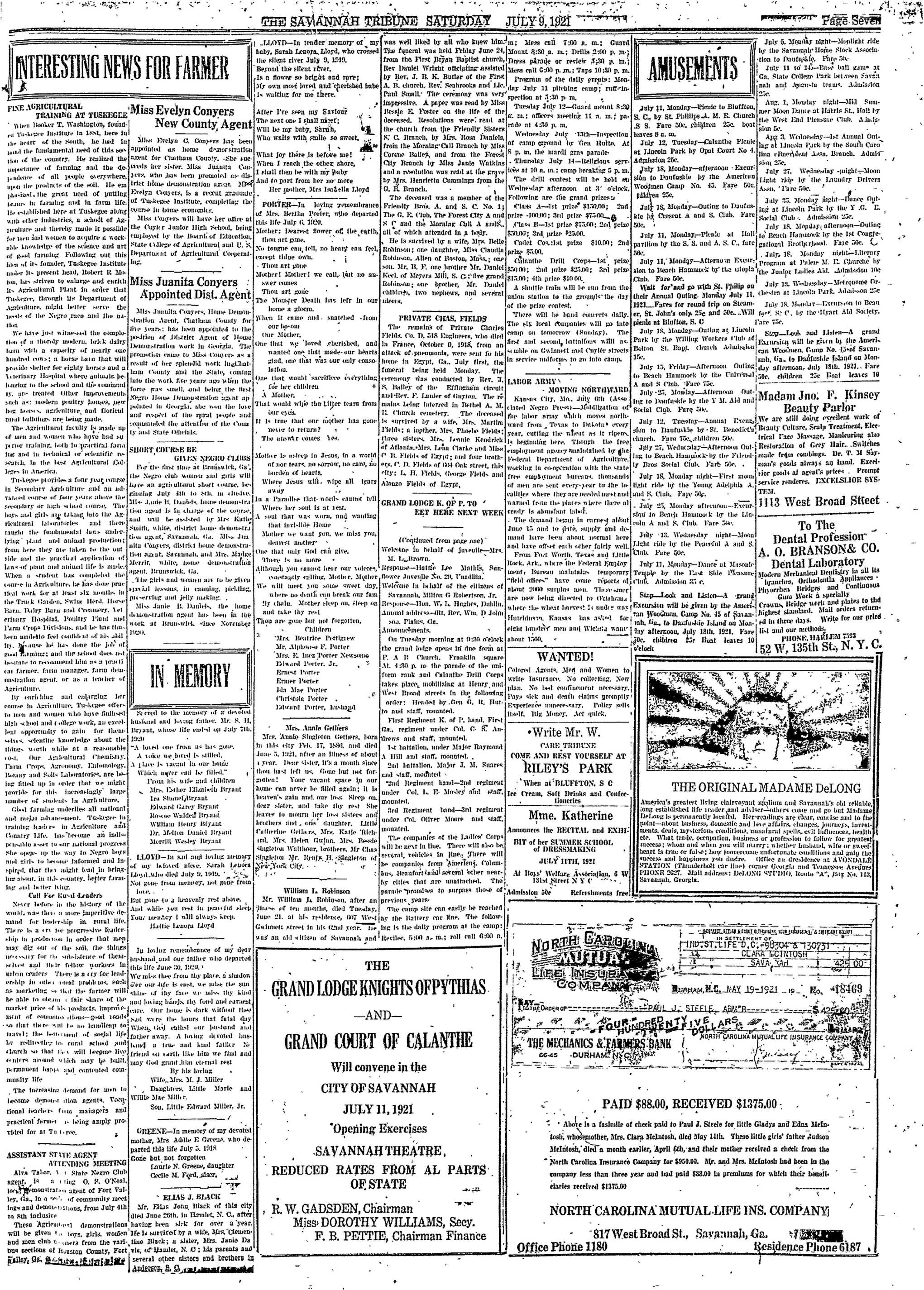 Page 7