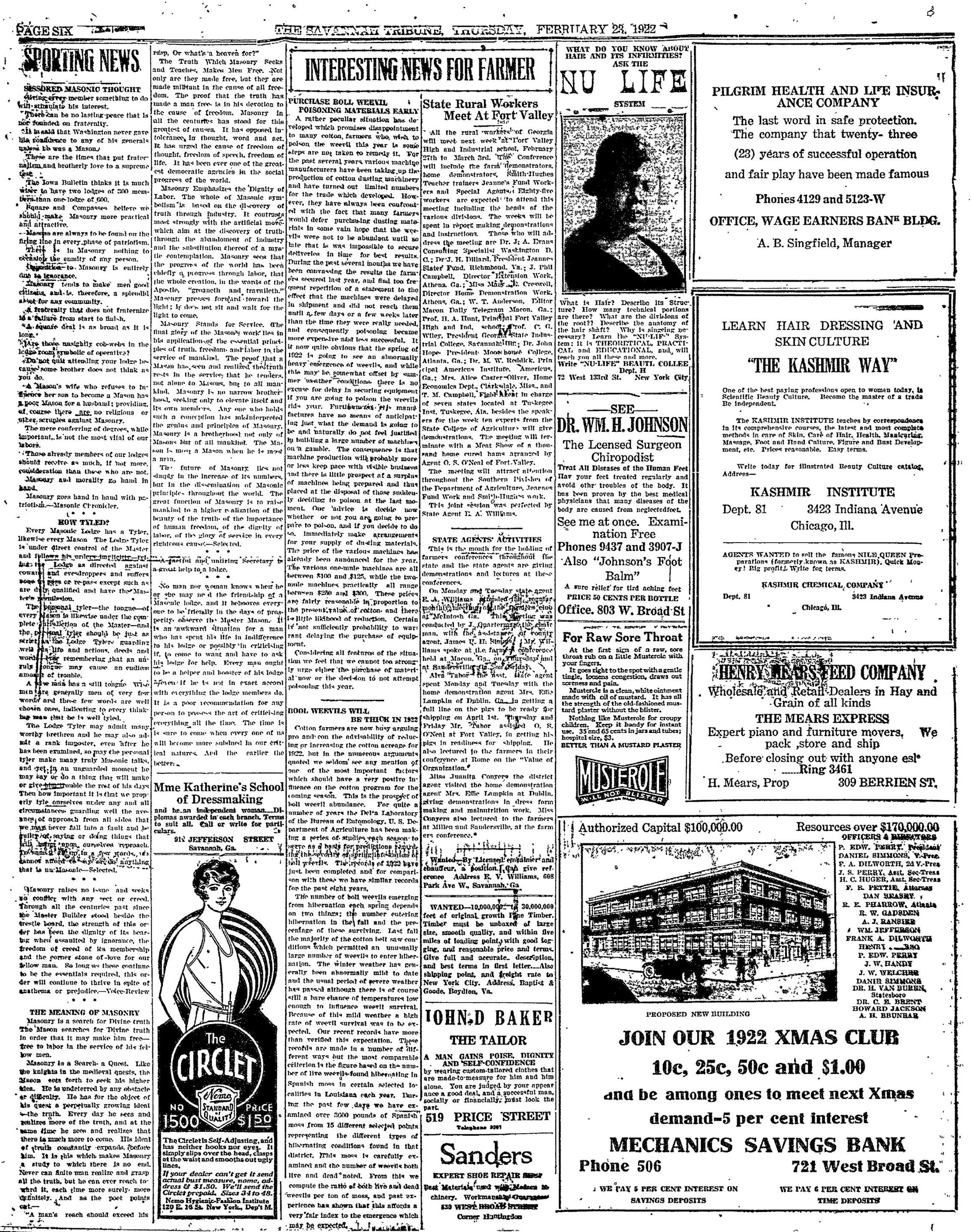 Page 6